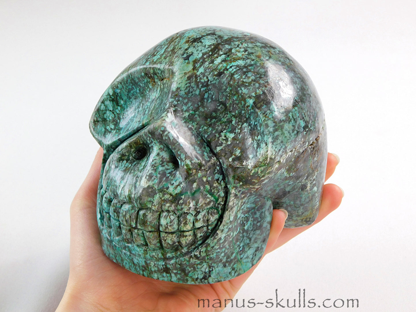 Large Turquoise Skull