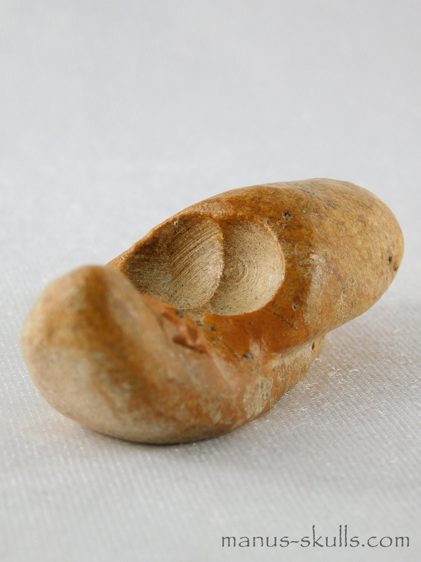Evolian Manus Skull 2022