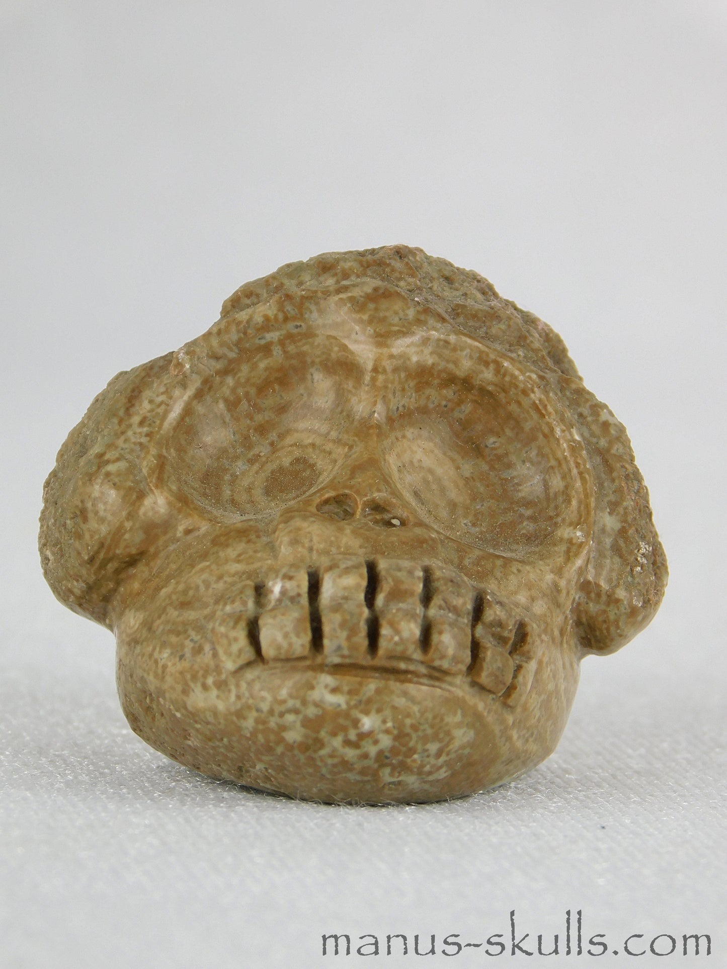 Evolian Manus Skull 2022