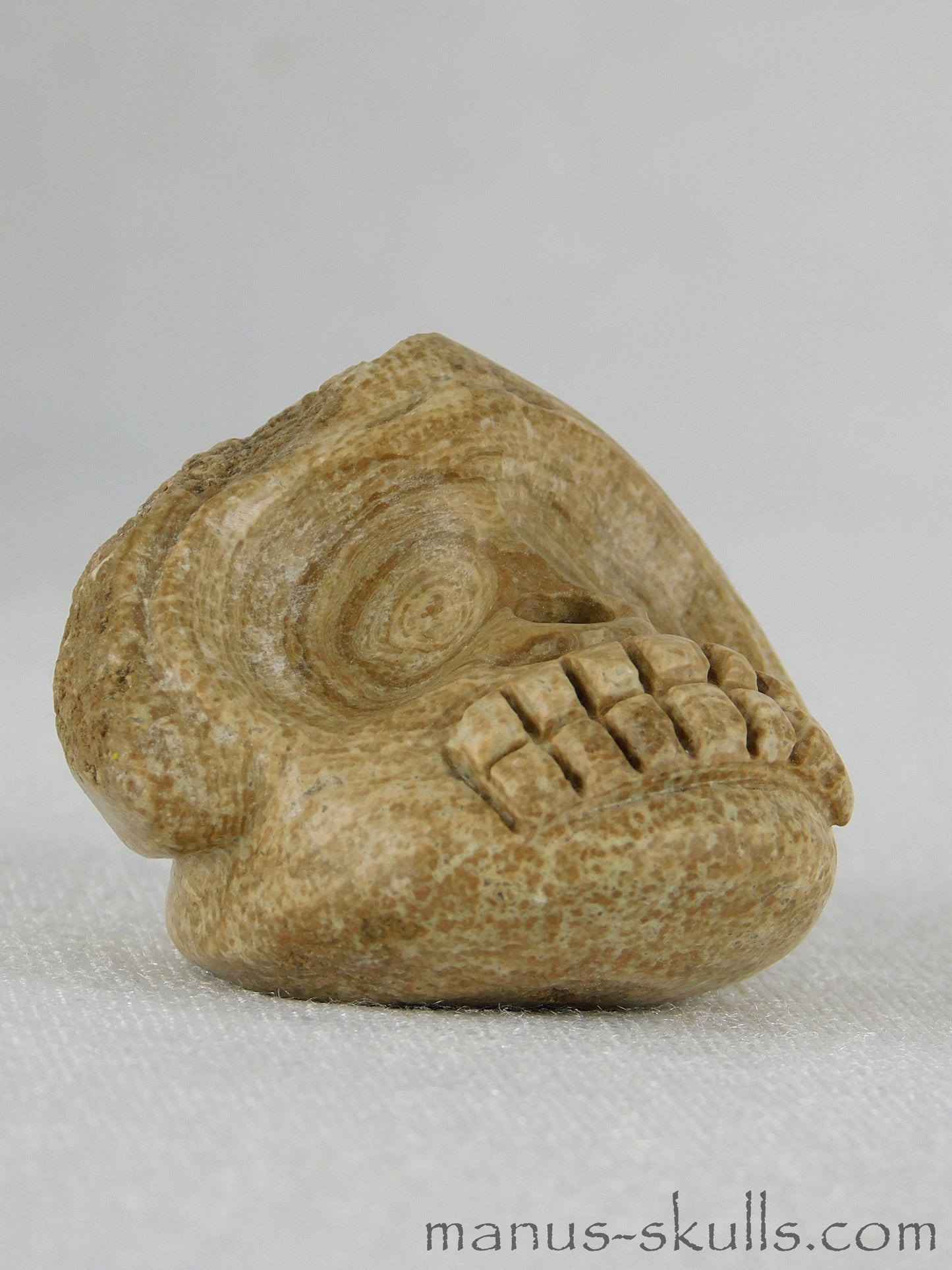 Evolian Manus Skull 2022