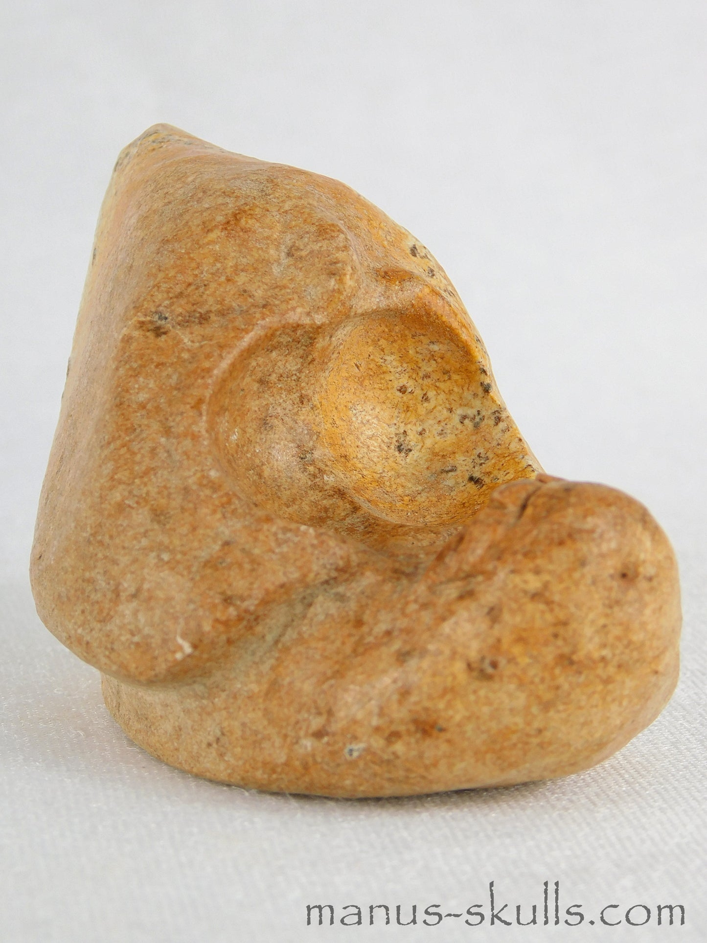 Evolian Manus Skull 2022