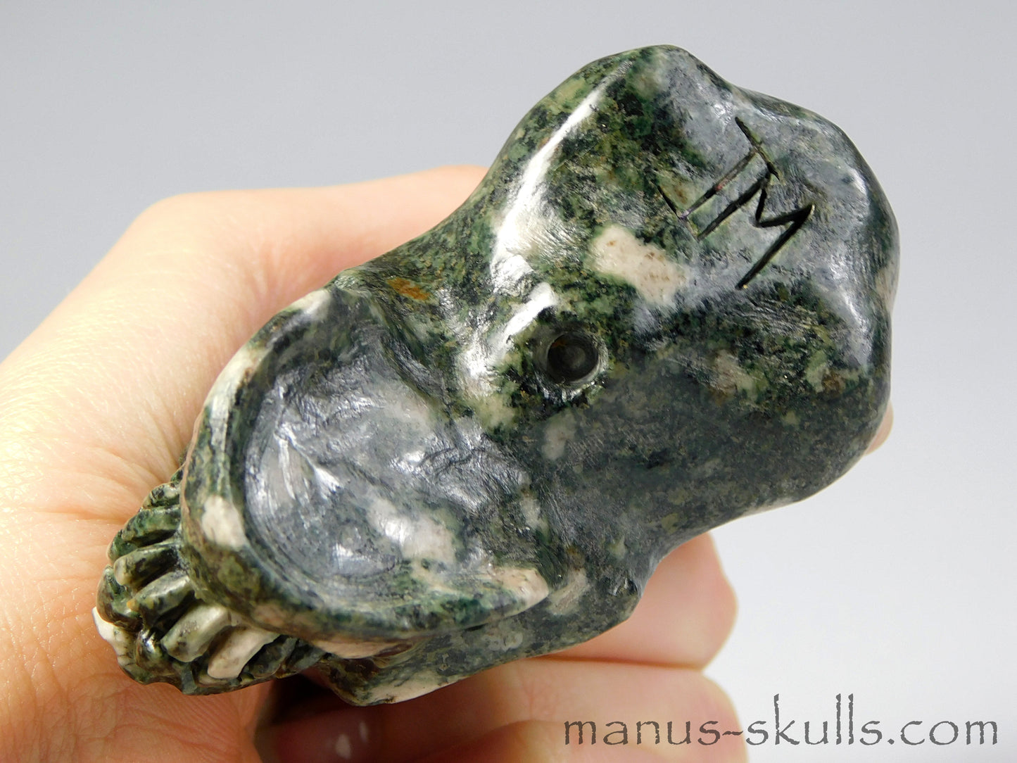 Preseli Bluestone Conehead Skull