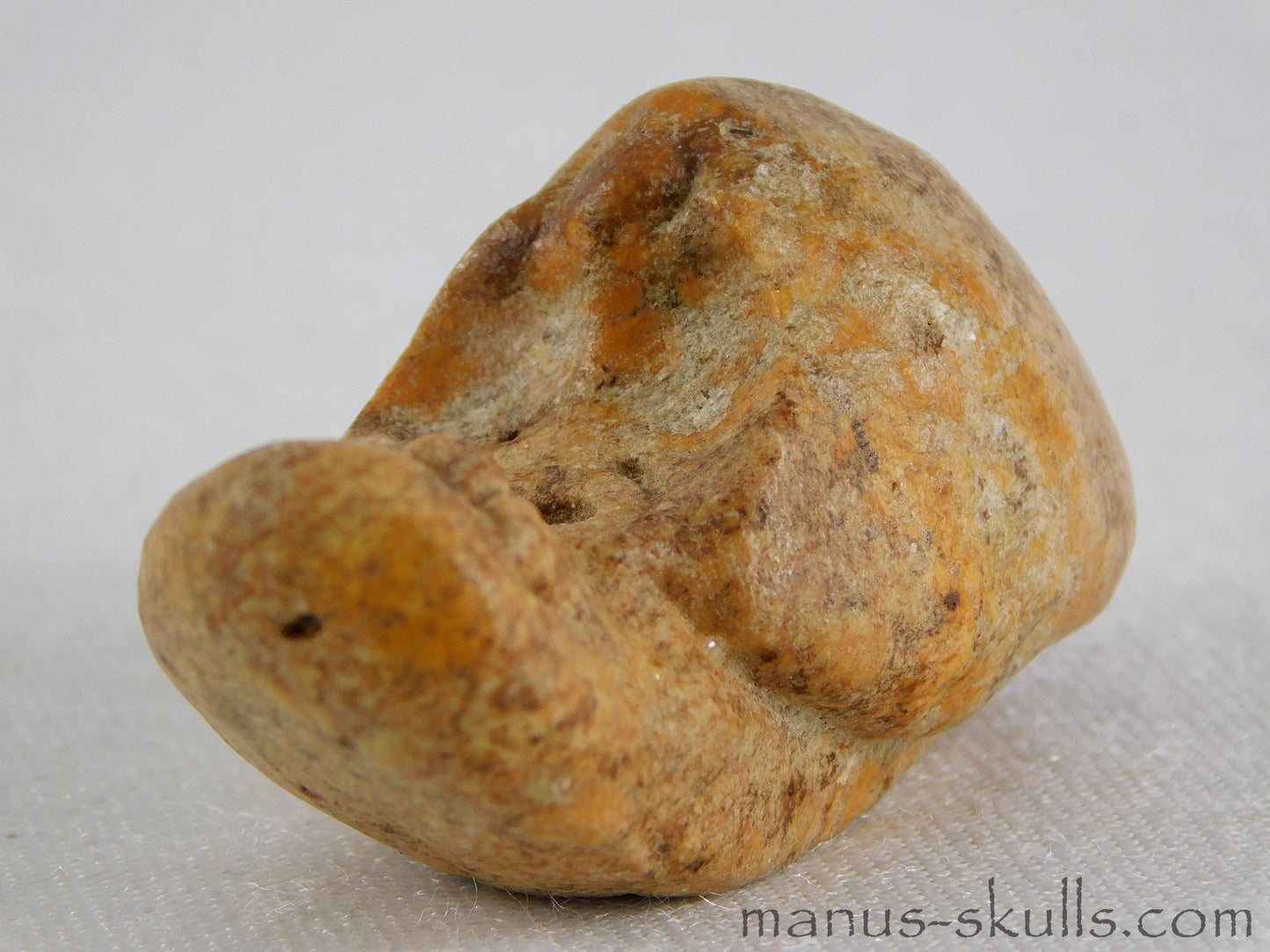 Evolian Manus Skull 2022