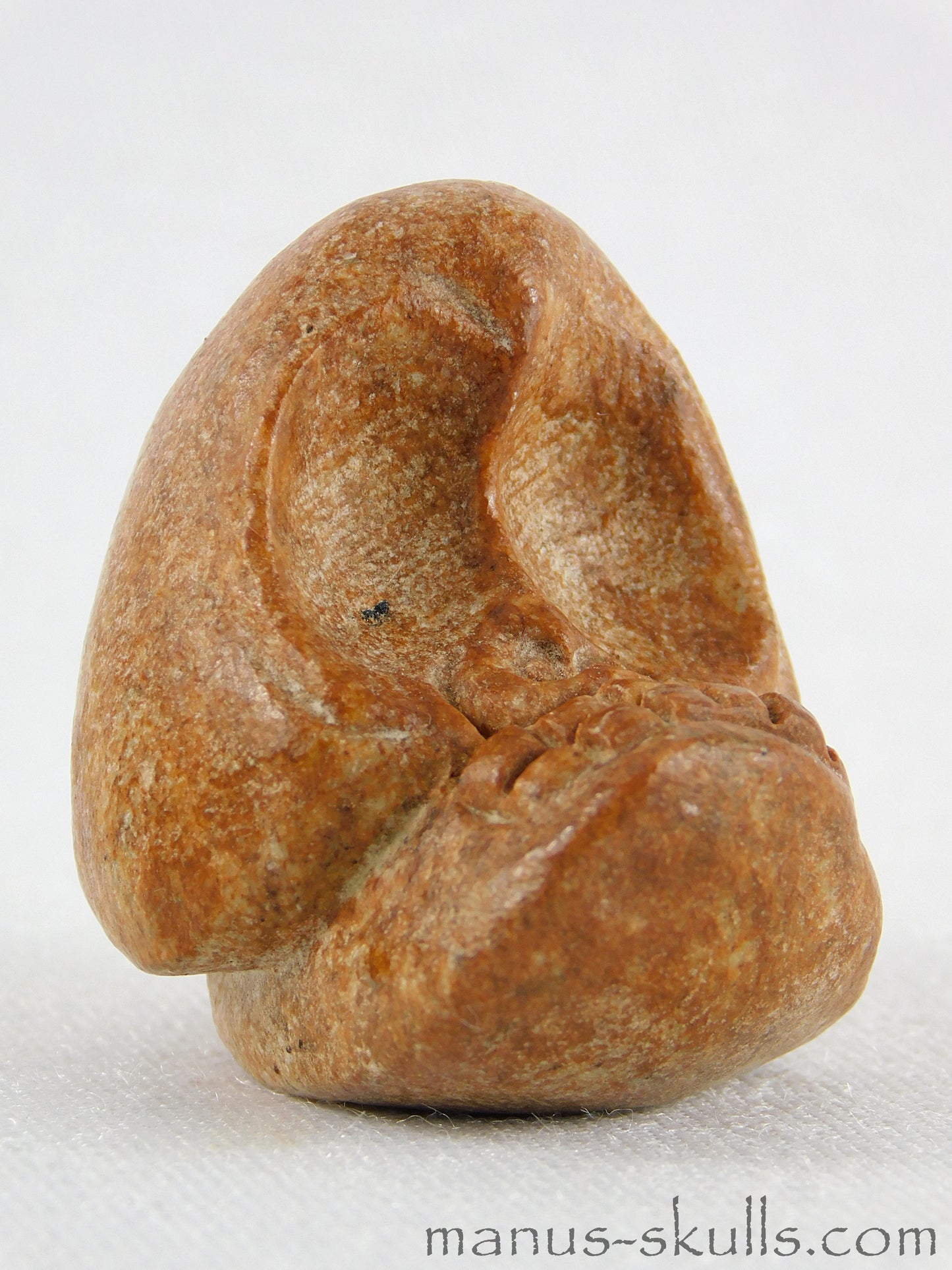 Evolian Manus Skull 2022