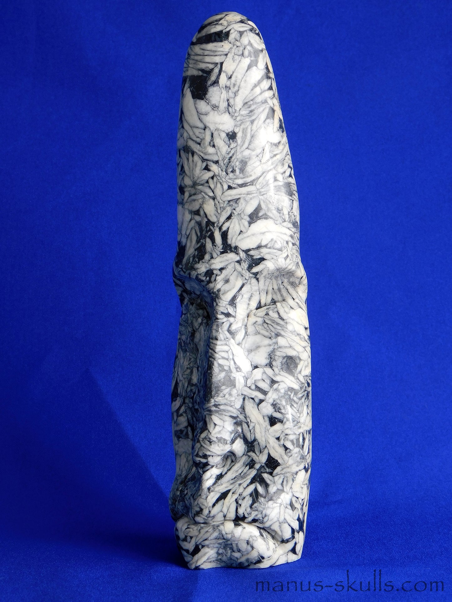 Pinolith Skull