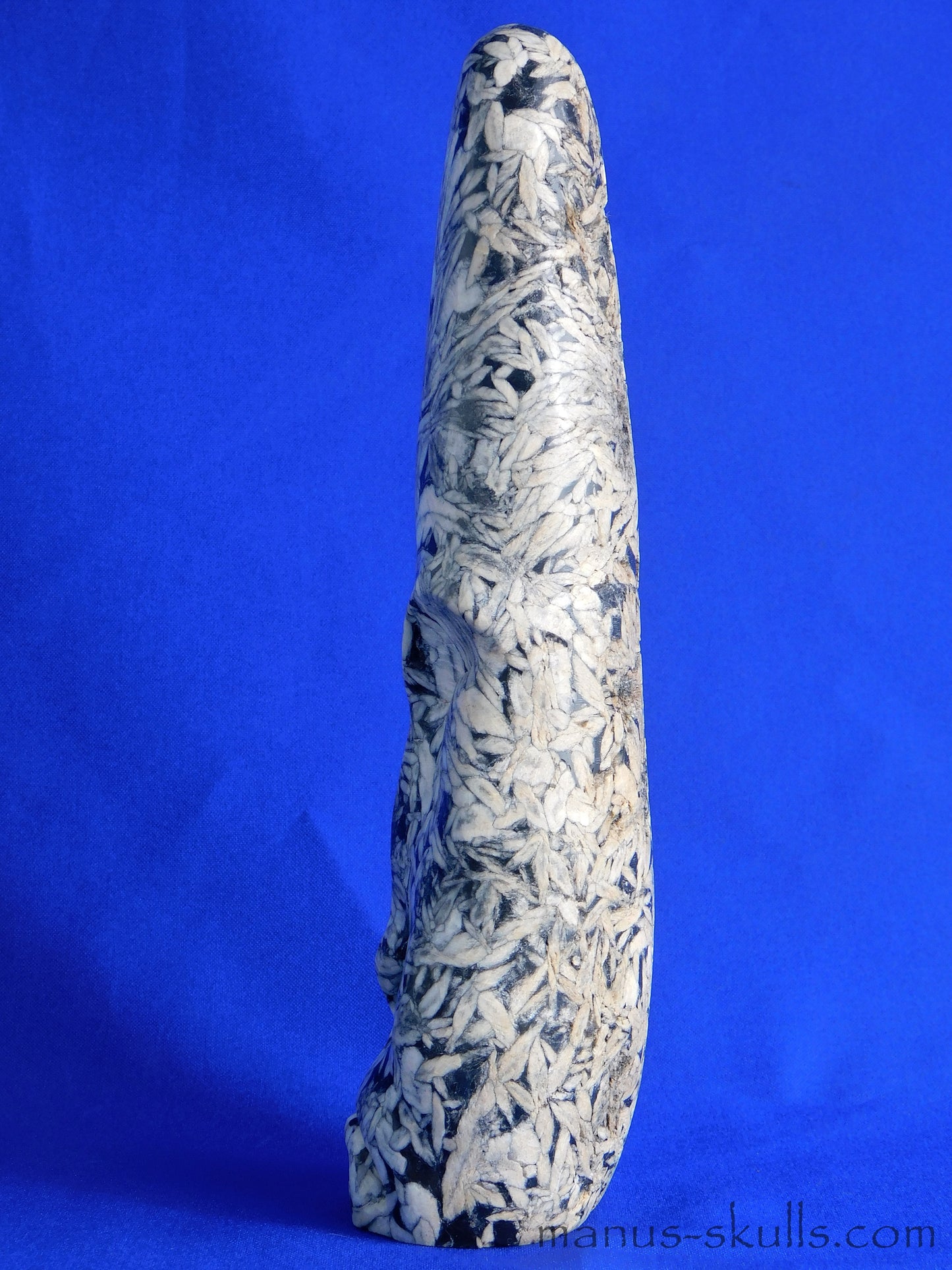Pinolith Skull
