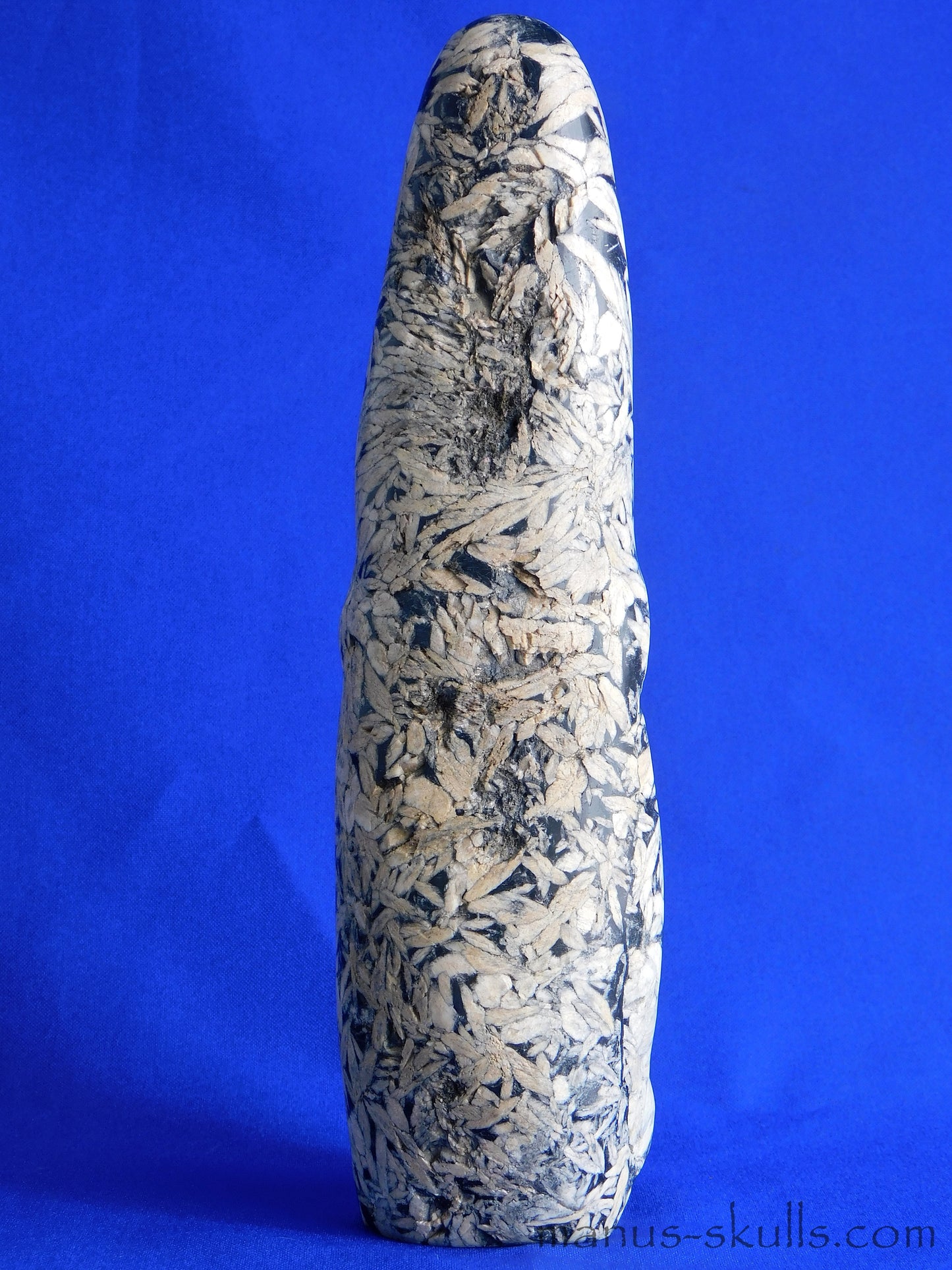 Pinolith Skull