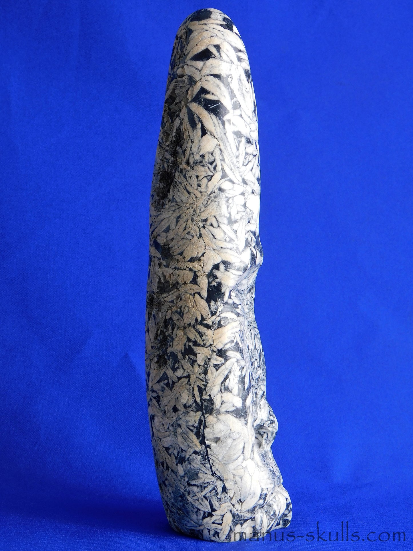Pinolith Skull