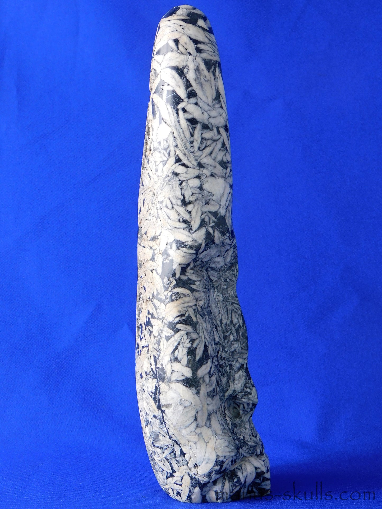 Pinolith Skull