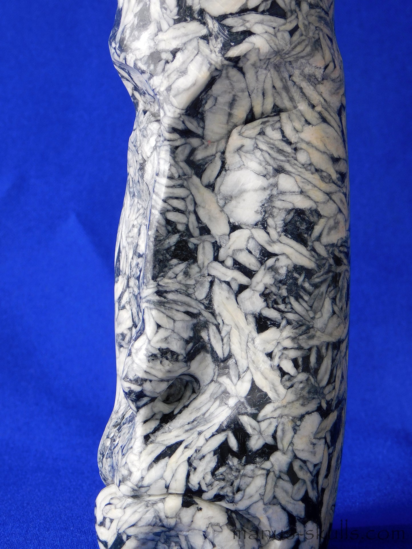 Pinolith Skull