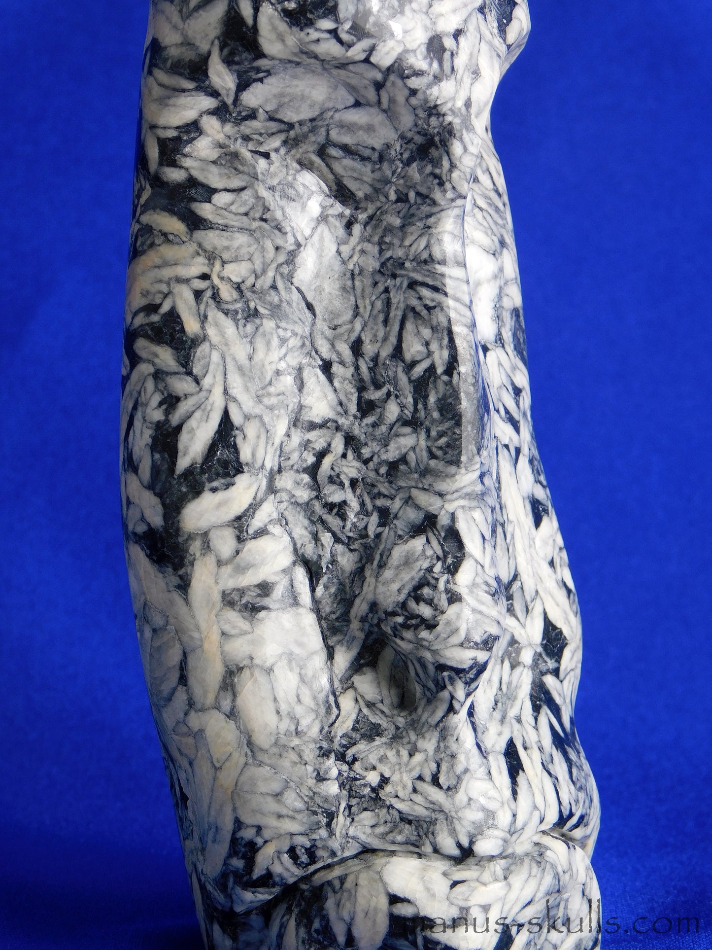 Pinolith Skull