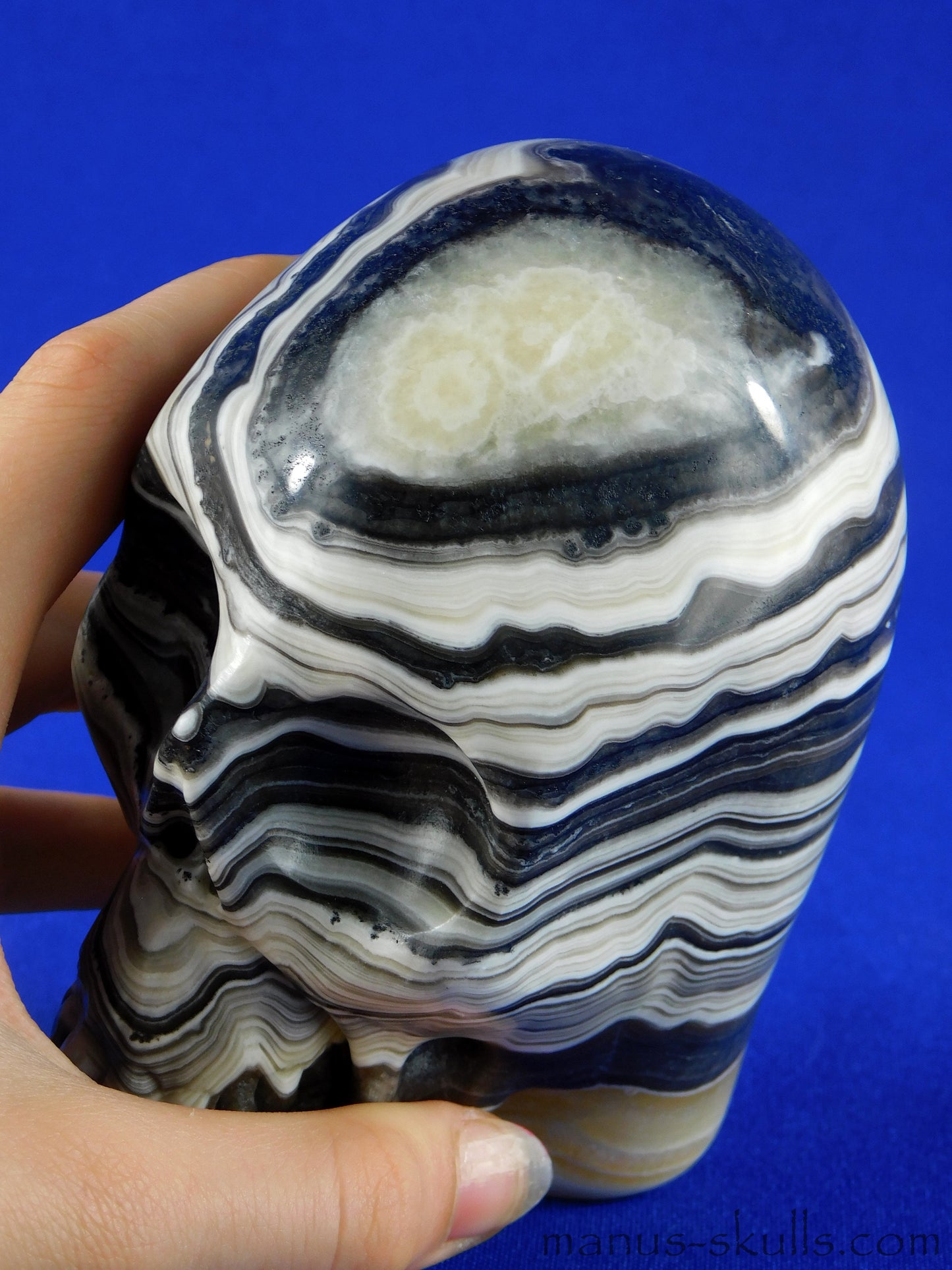 Zebra Calcite Skull