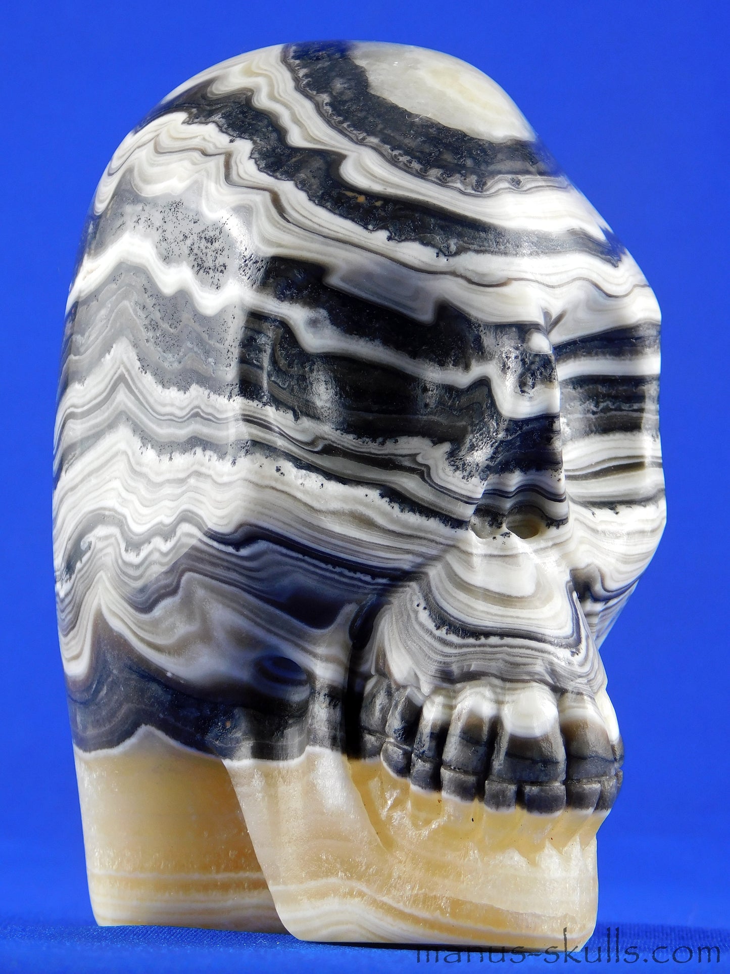 Zebra Calcite Skull