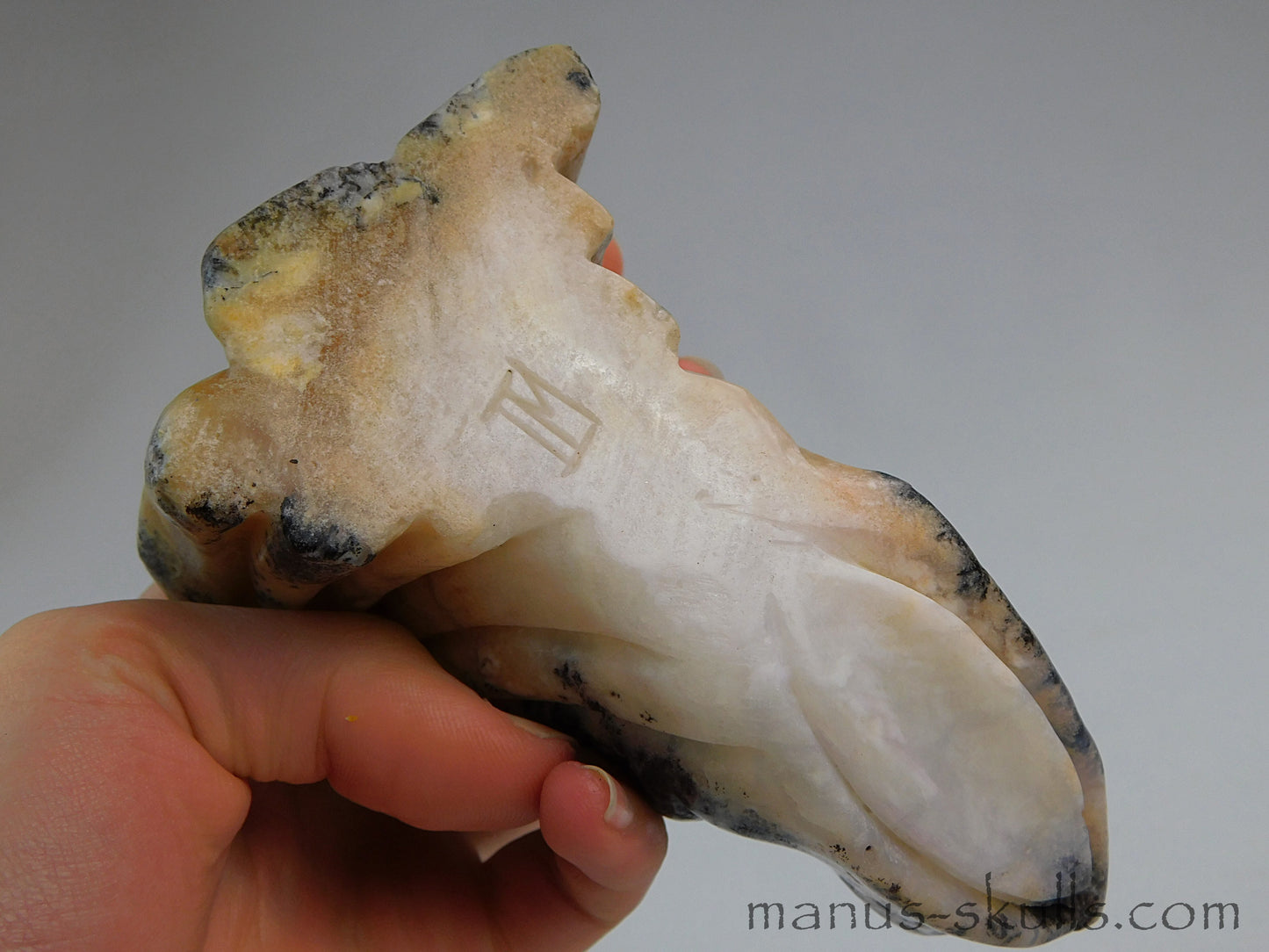 Pink White Dendrite Jasper Dragon