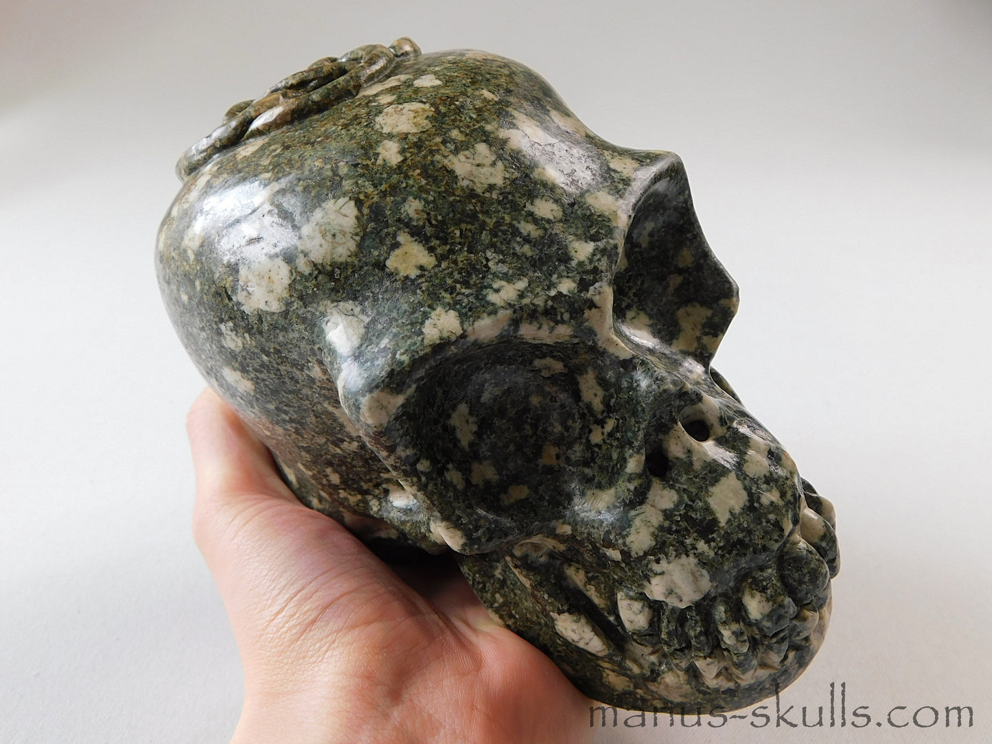 Large Preseli Bluestone Skull Celtic Knot