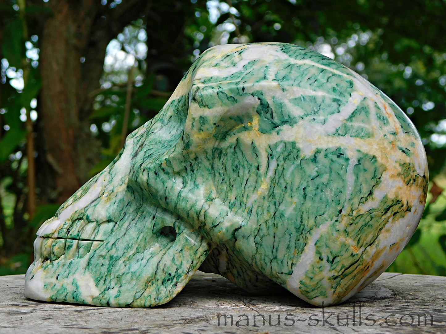 Large Mariposite Skull
