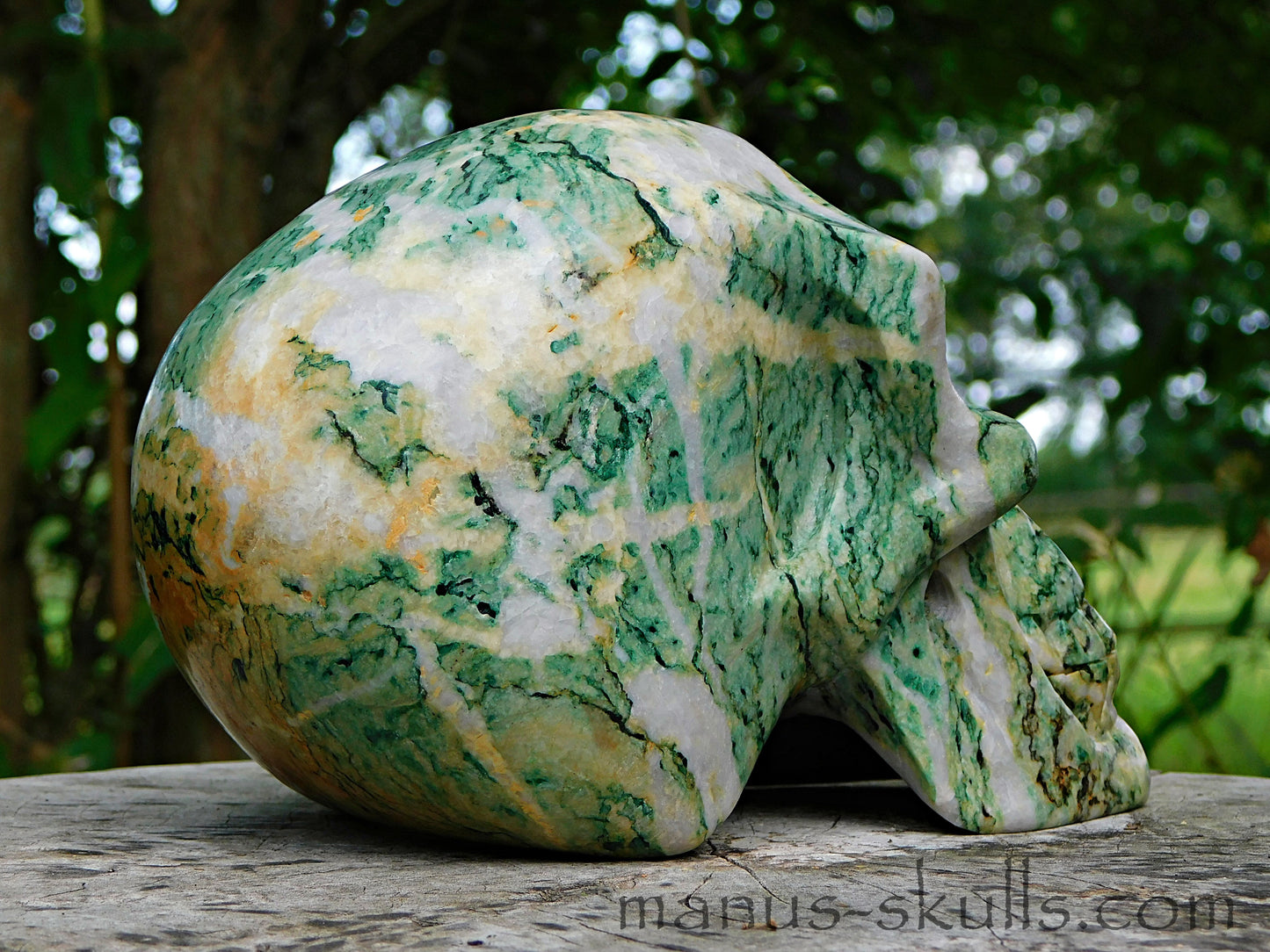Large Mariposite Skull
