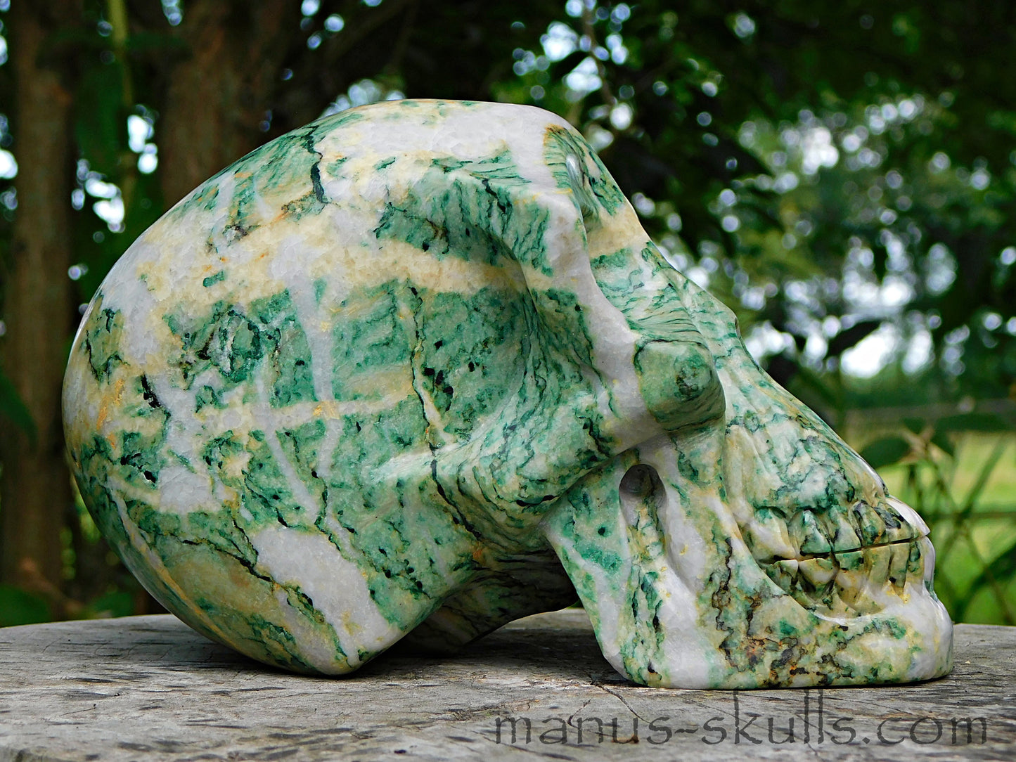 Large Mariposite Skull
