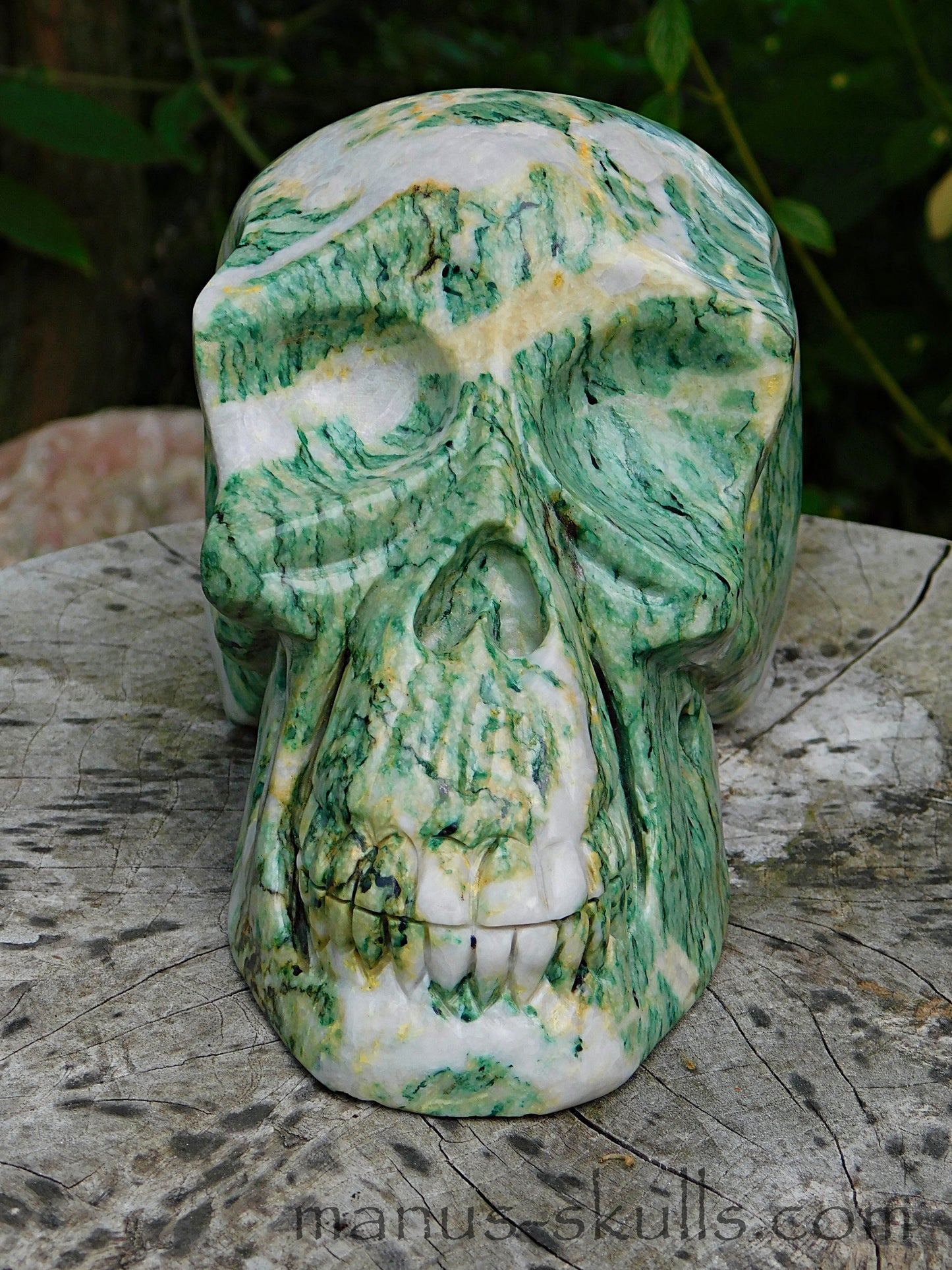 Large Mariposite Skull