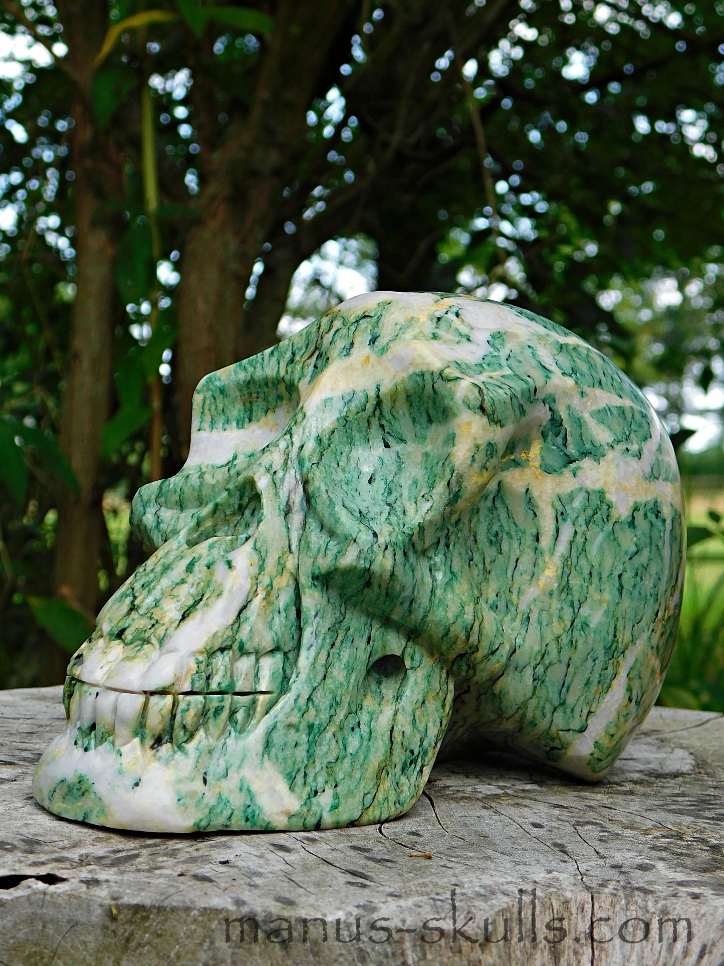 Large Mariposite Skull