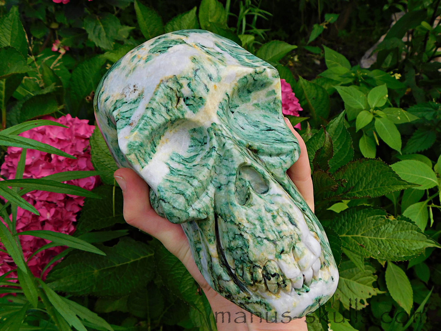 Large Mariposite Skull