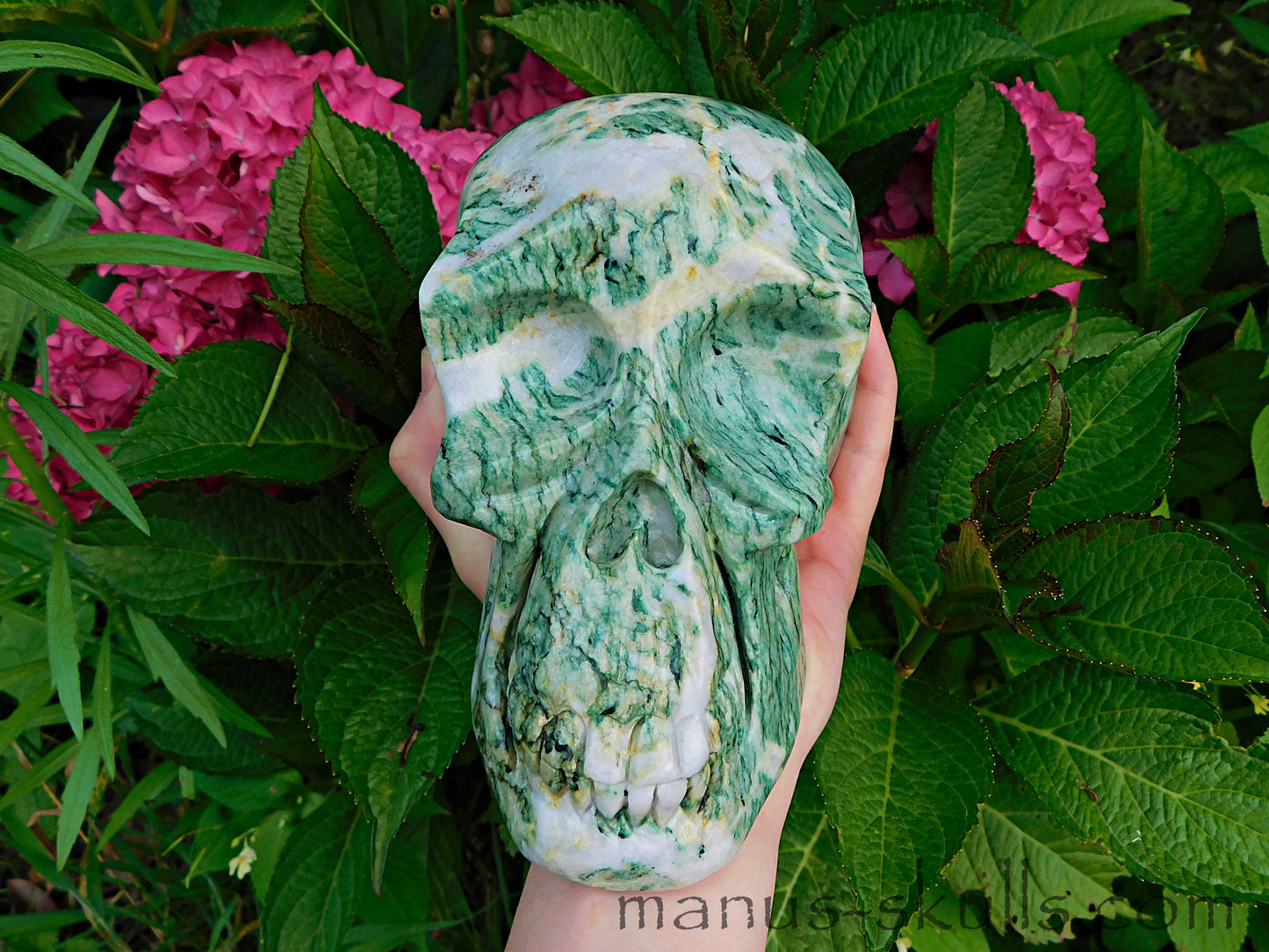 Large Mariposite Skull