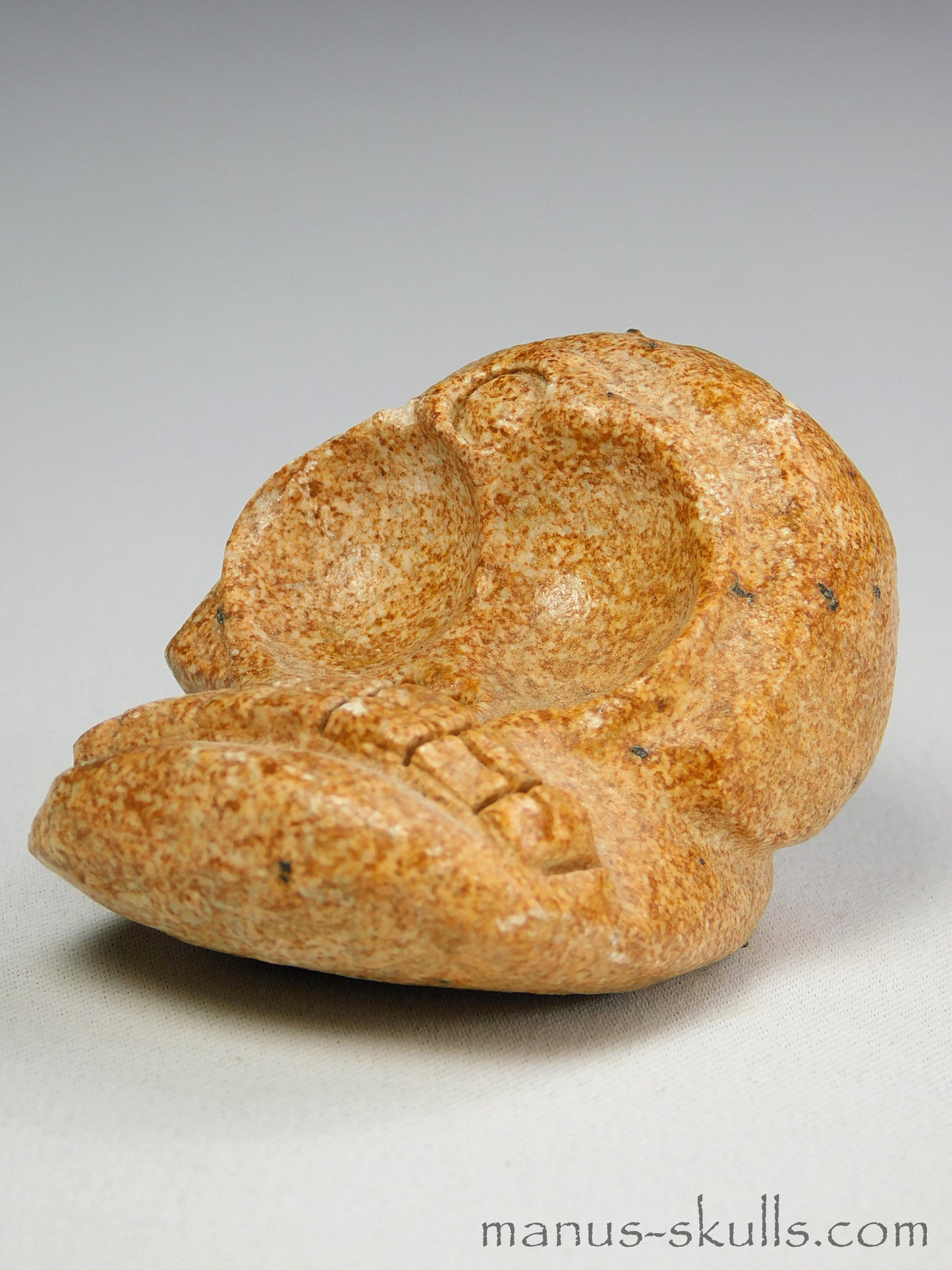 Evolian Manus Skull 2022