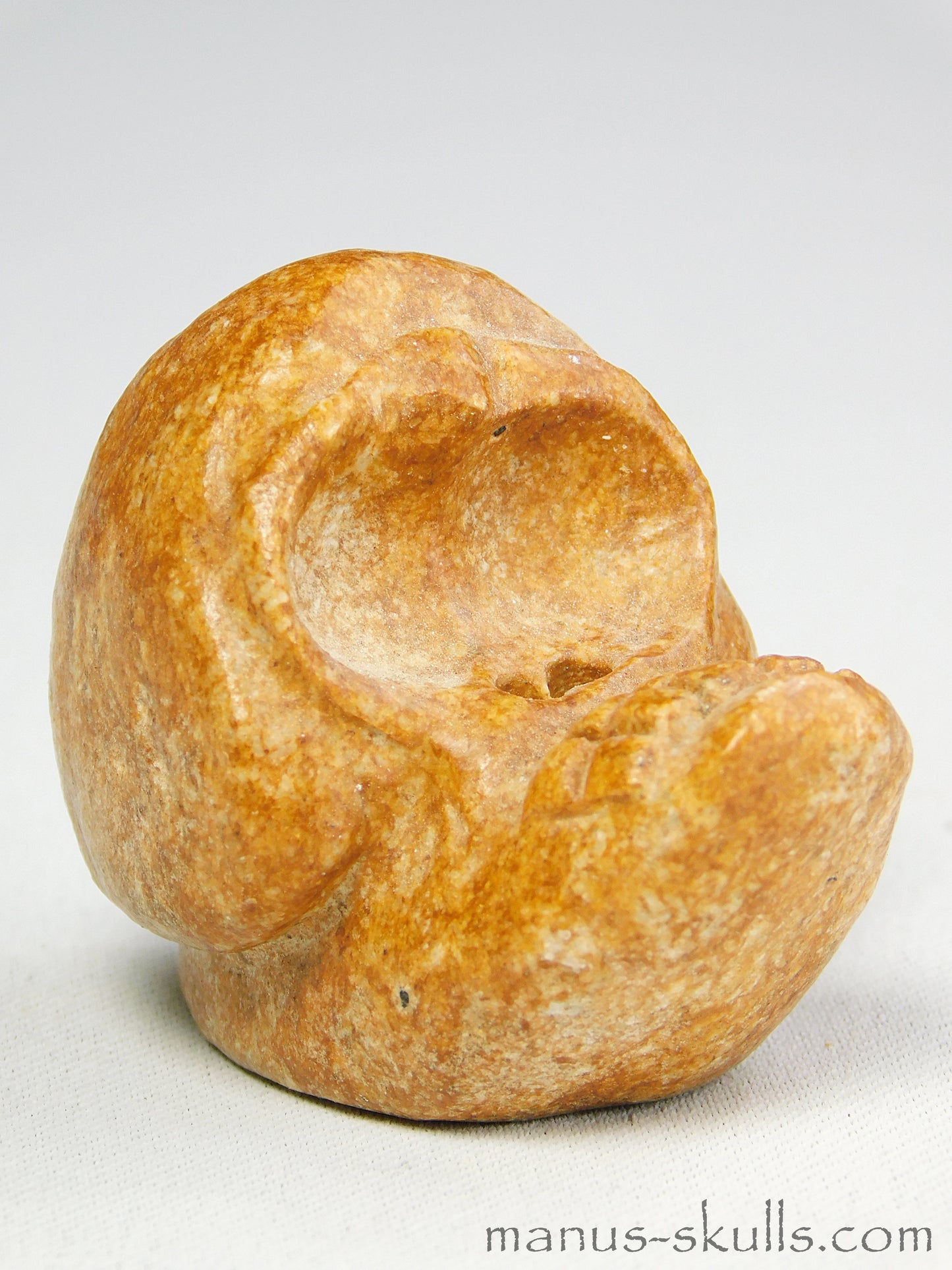 Evolian Manus Skull 2022