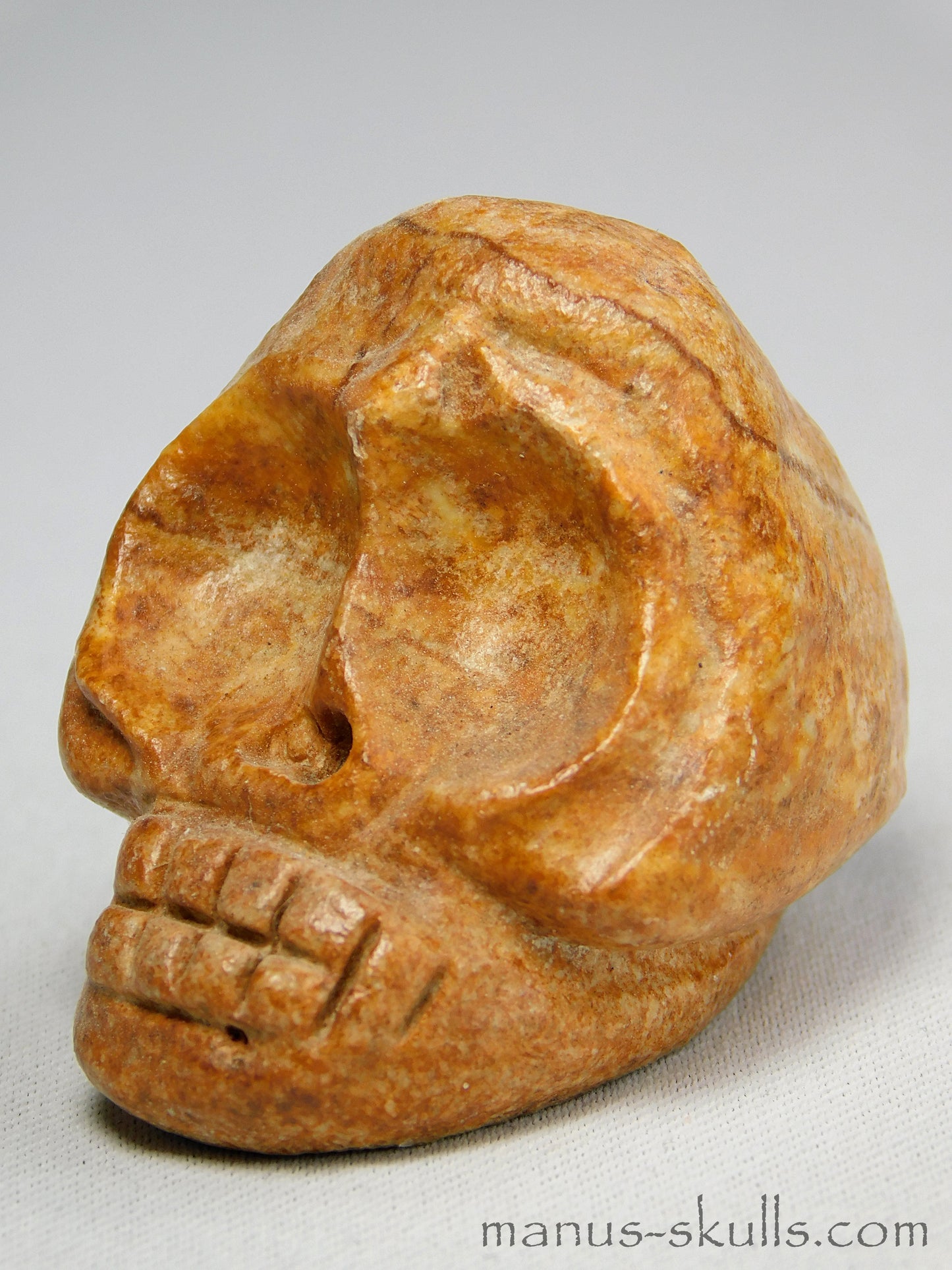 Evolian Manus Skull 2022