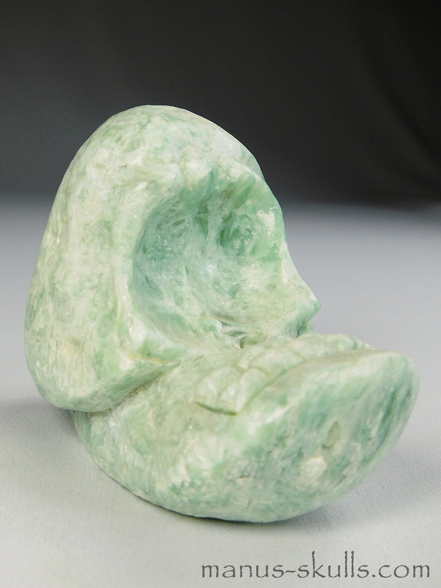 Evolian Manus Skull 2022