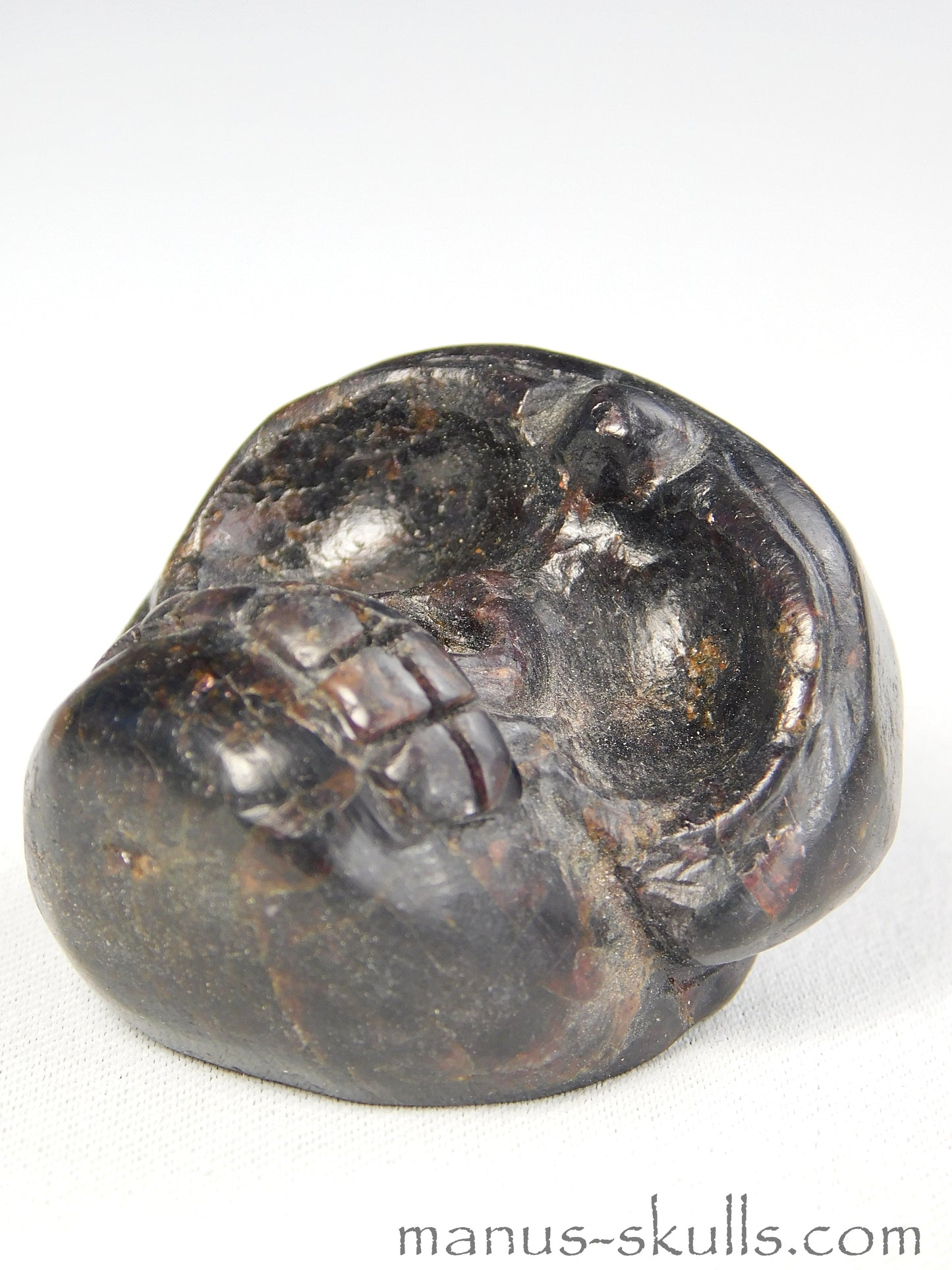 Evolian Manus Skull 2022