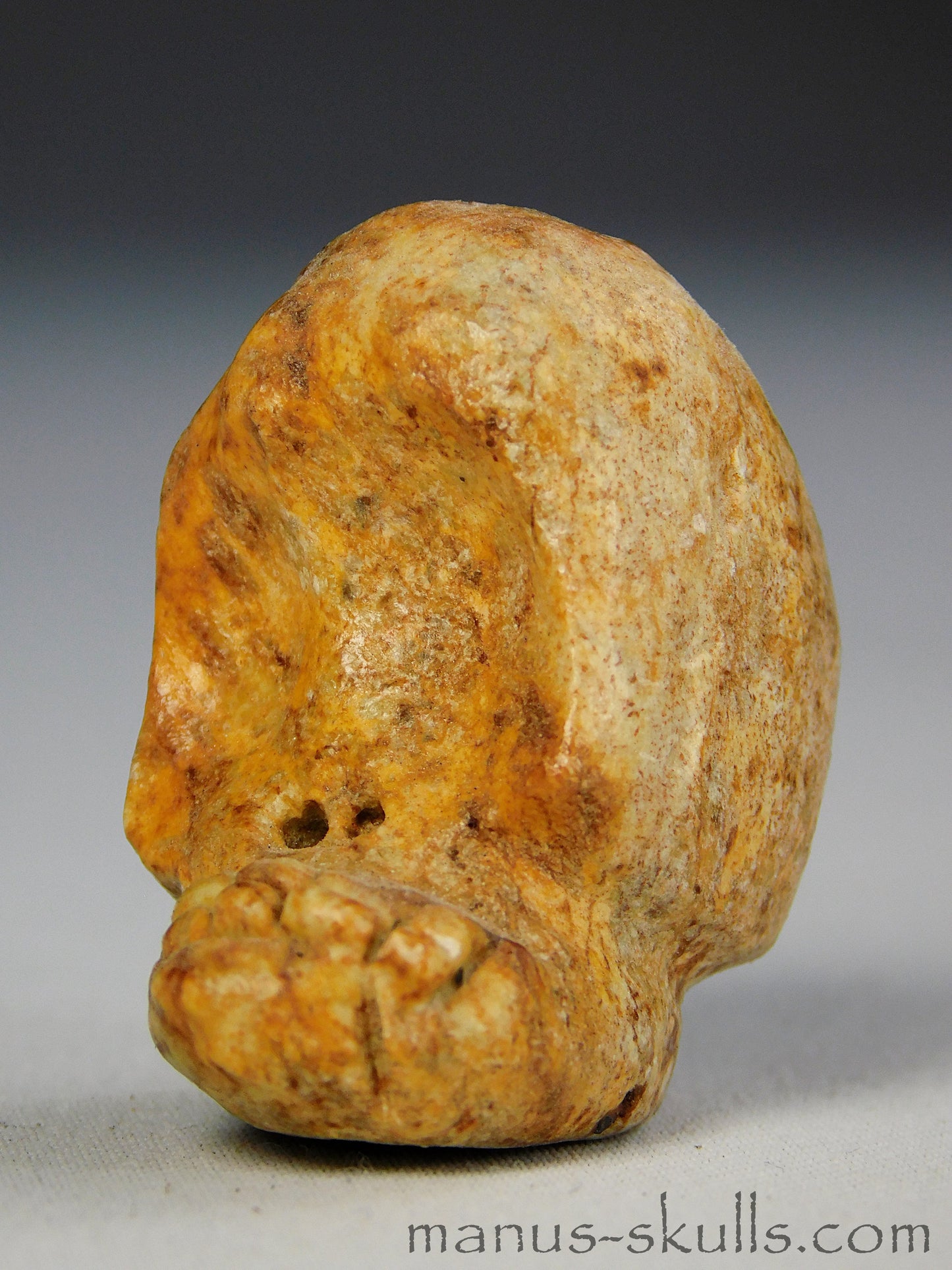 Steatite Evolian Skull #33
