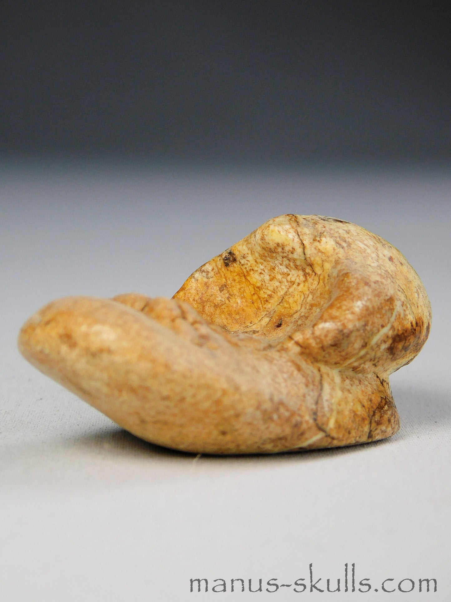 Steatite Evolian Skull #36