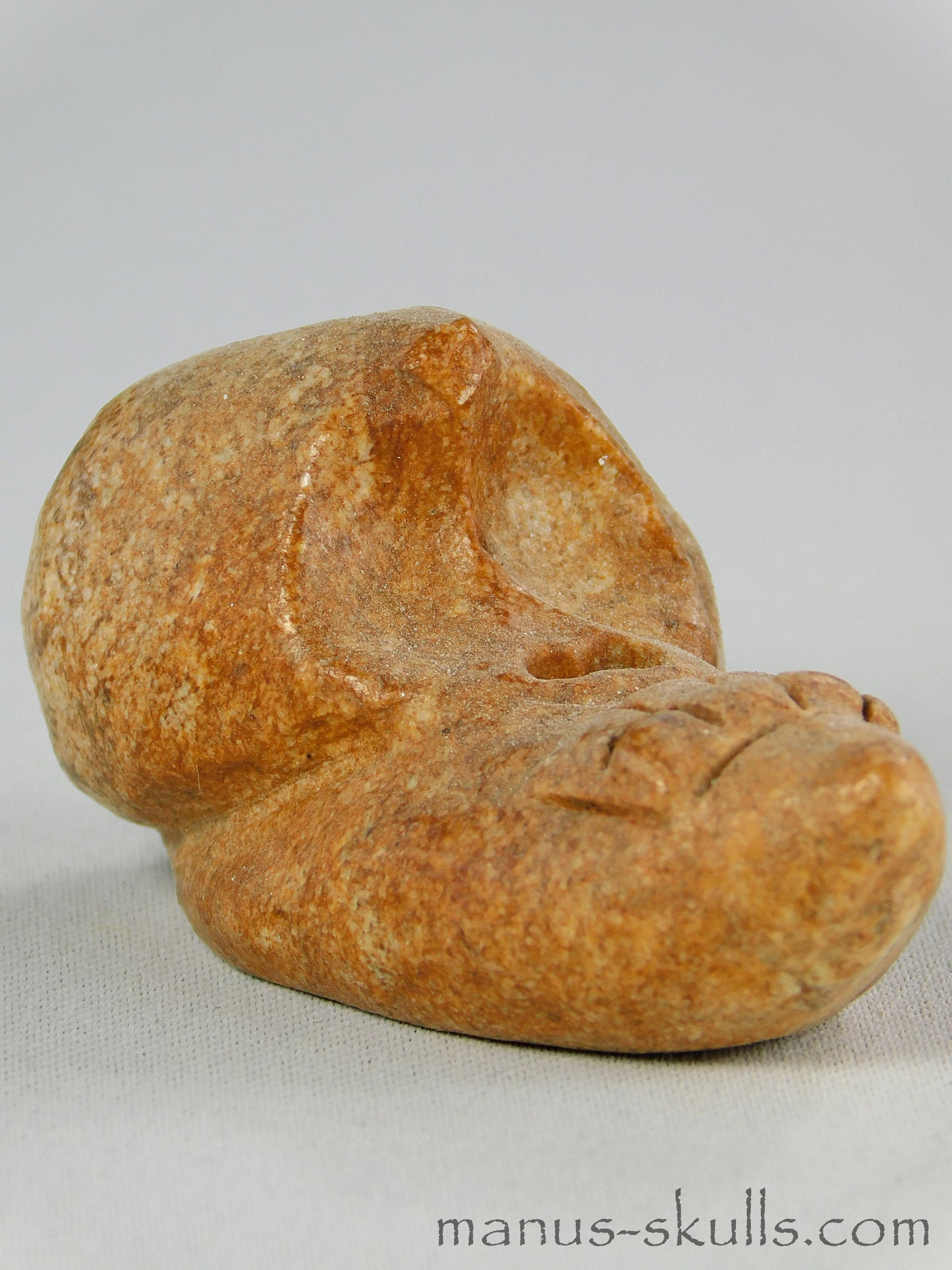 Evolian Manus Skull 2022