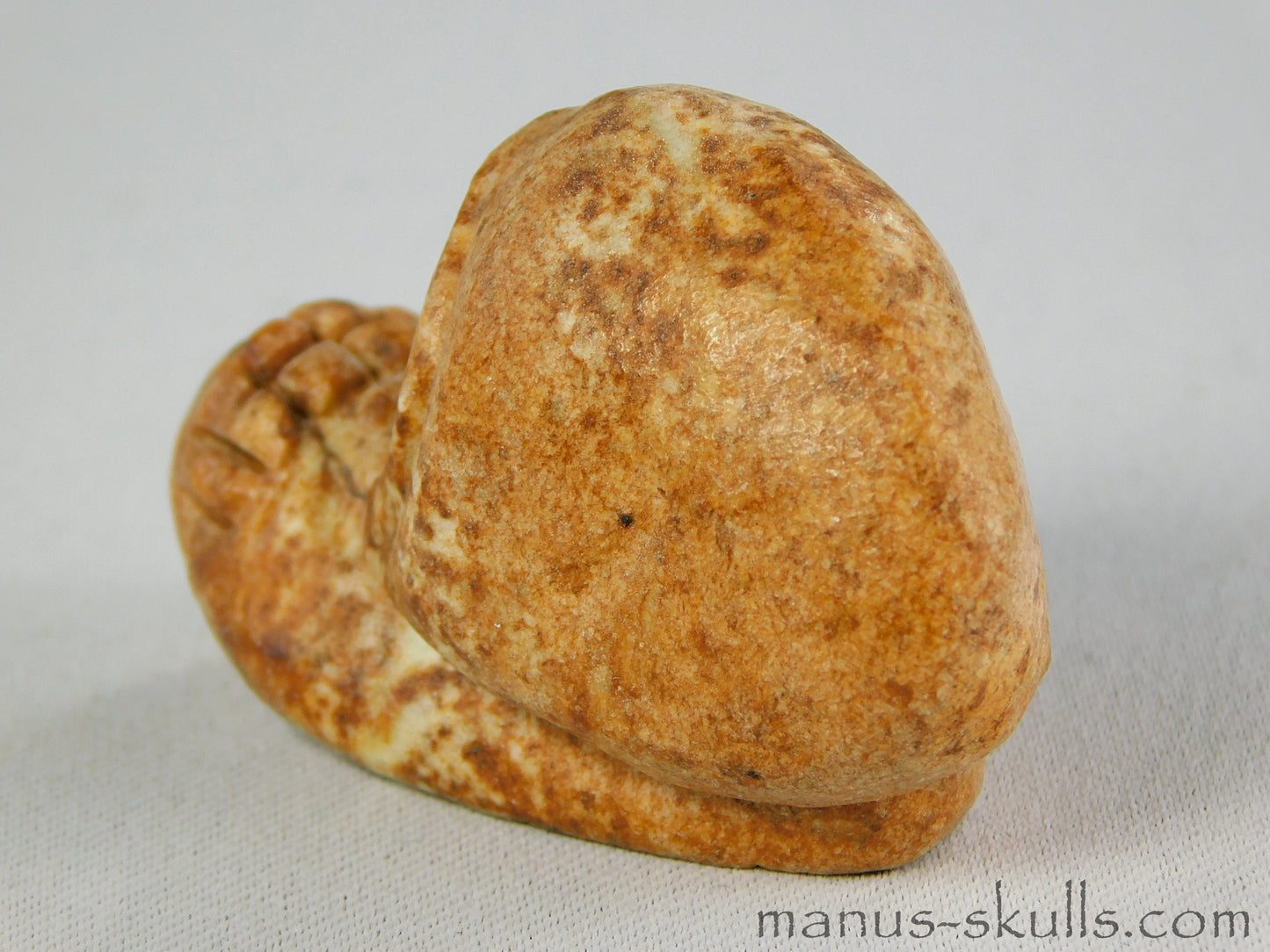 Steatite Evolian Skull #42