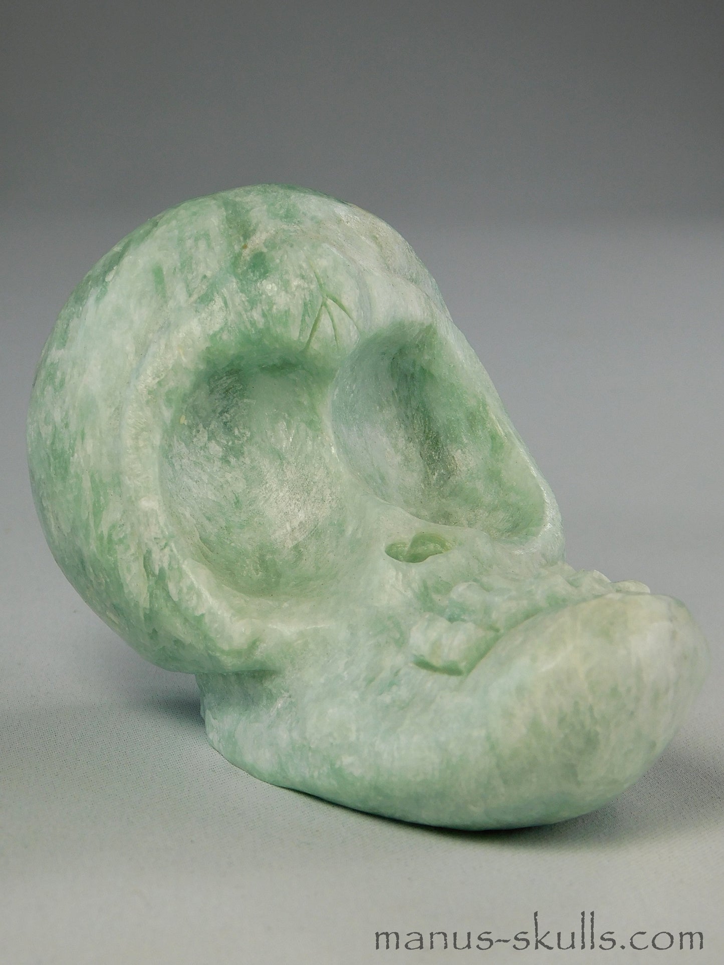 Evolian Manus Skull 2022