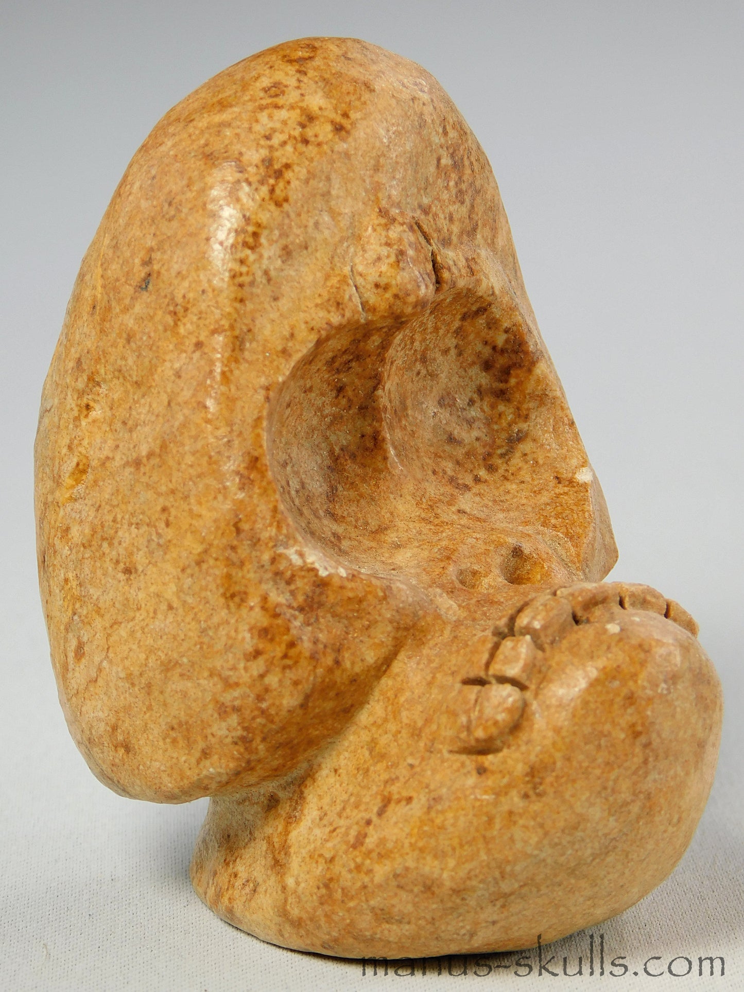 Evolian Manus Skull 2022