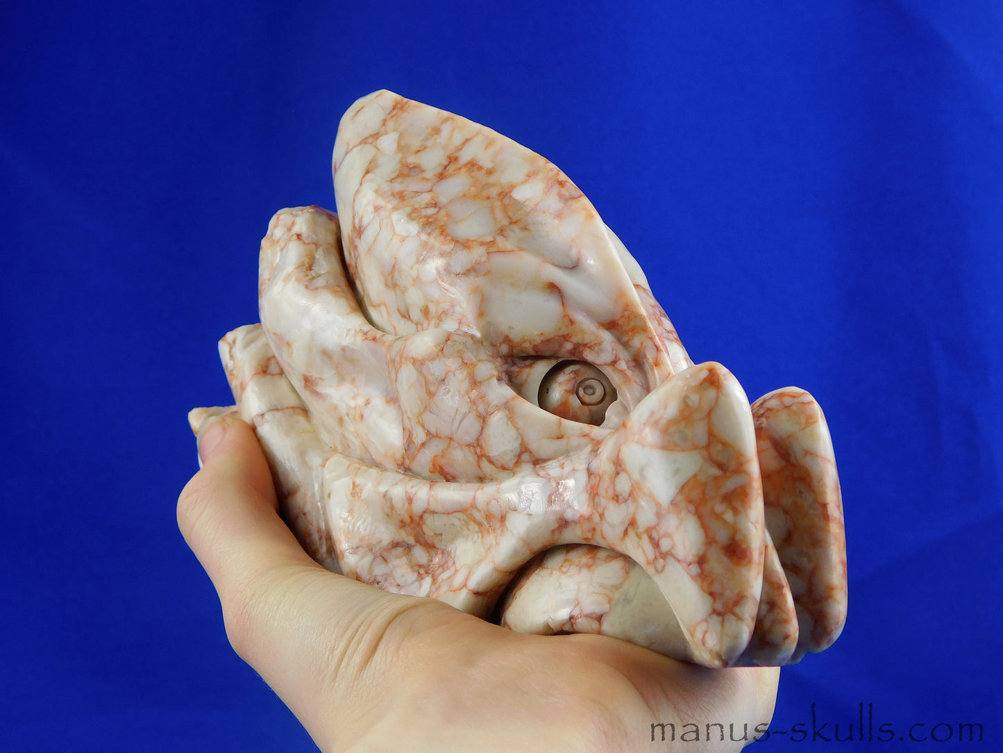 Brecciated Limestone Dragon