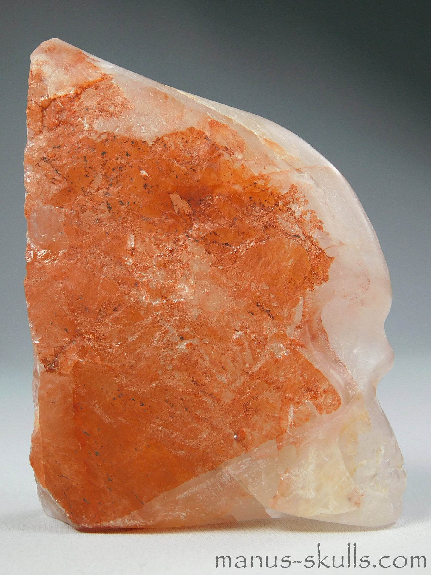 Hematoid Quartz Agnetite Skull
