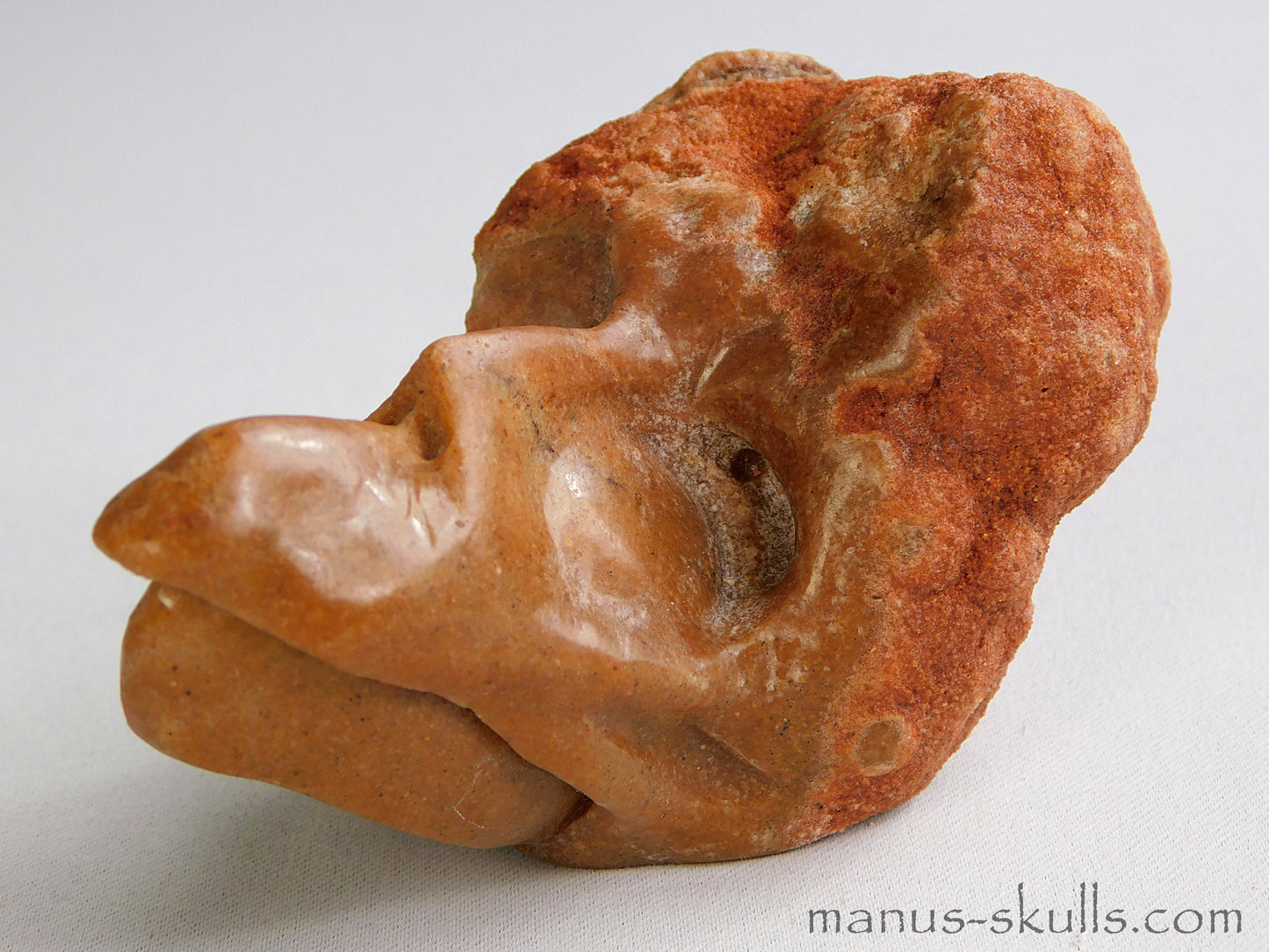 Stromatolite Skull