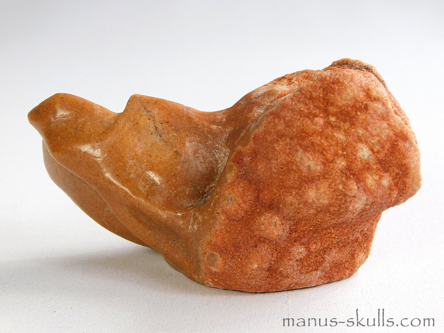 Stromatolite Skull