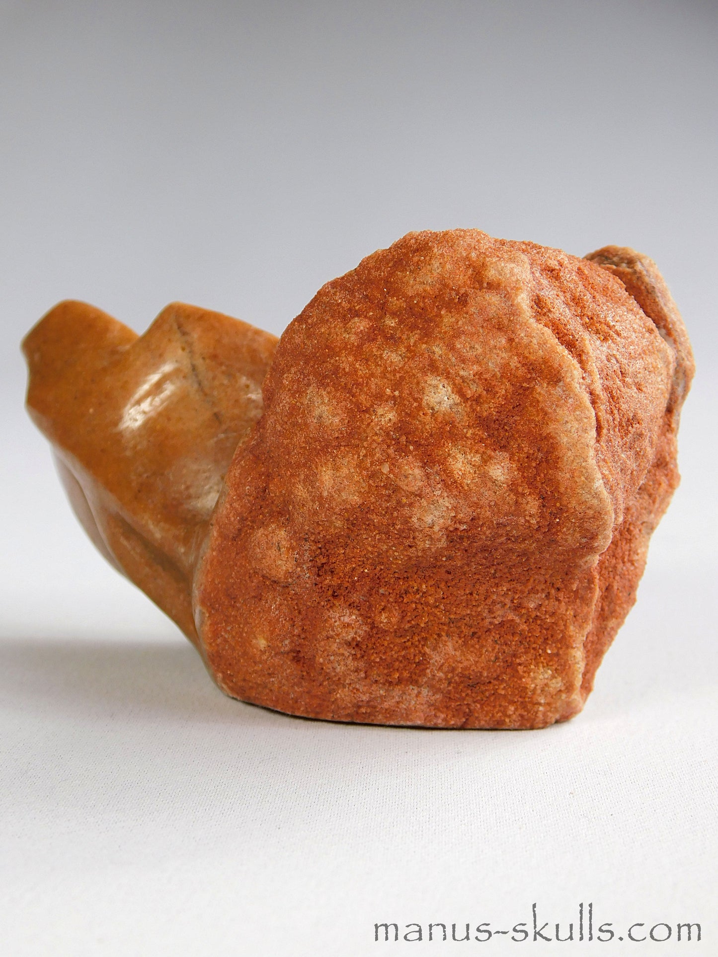 Stromatolite Skull