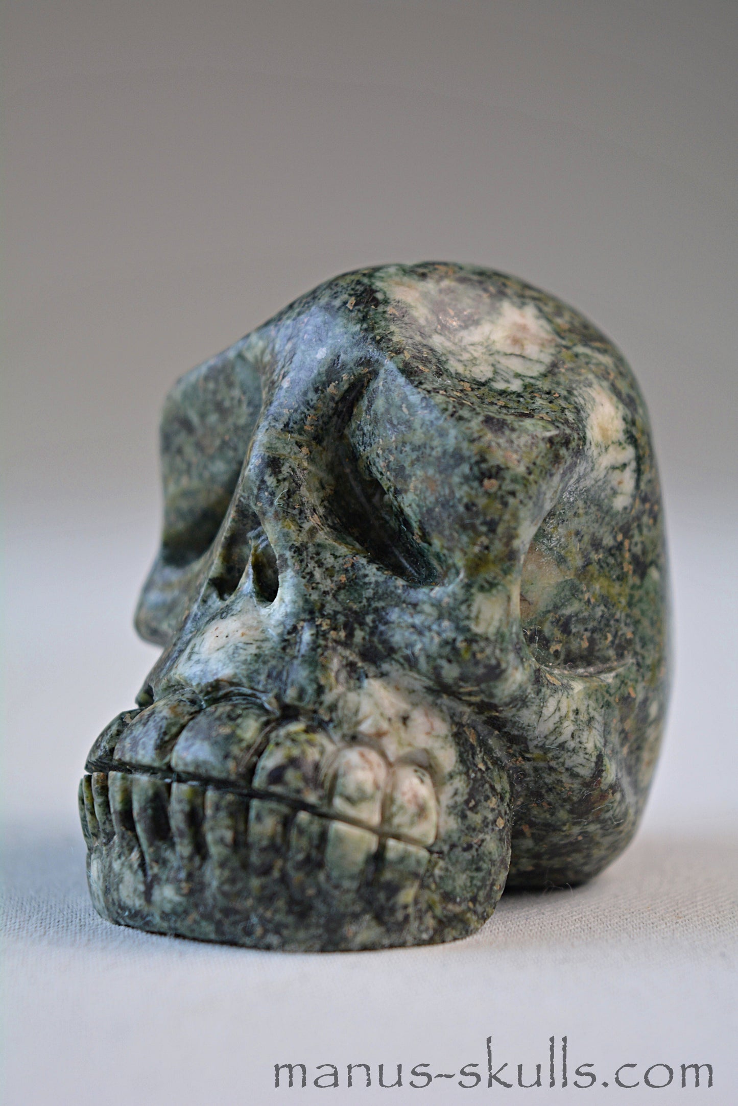 Preseli Bluestone Skull