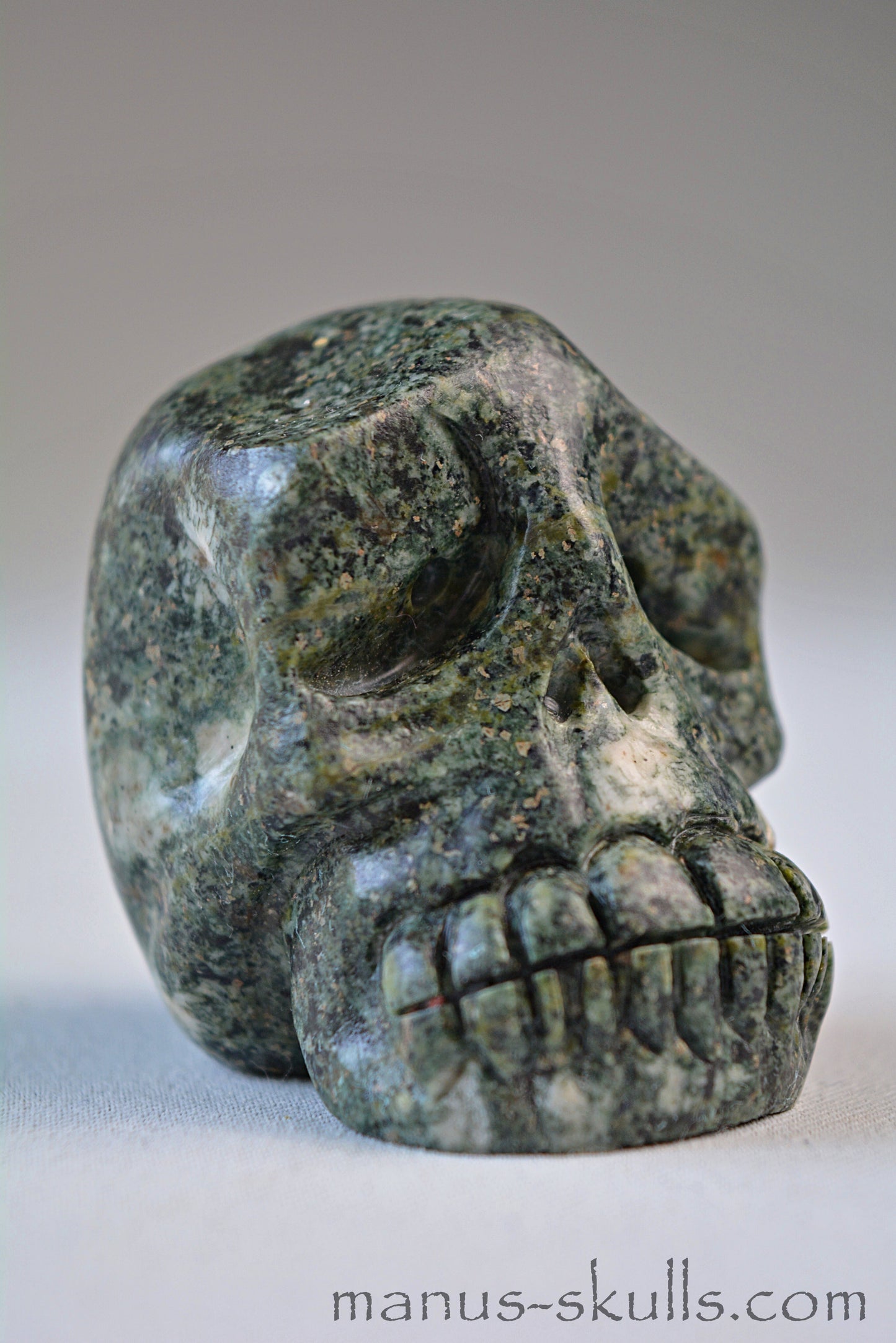 Preseli Bluestone Skull