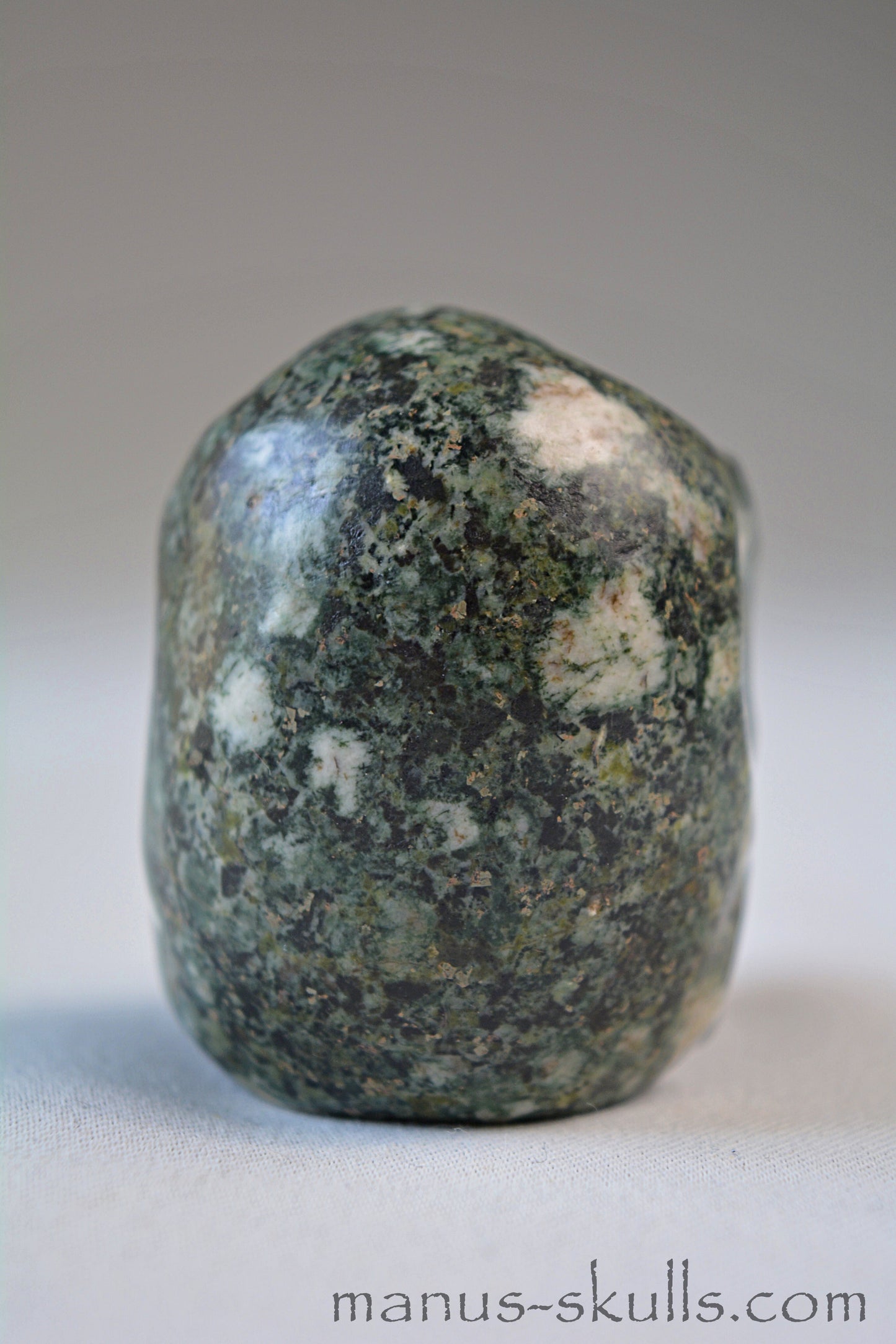 Preseli Bluestone Skull