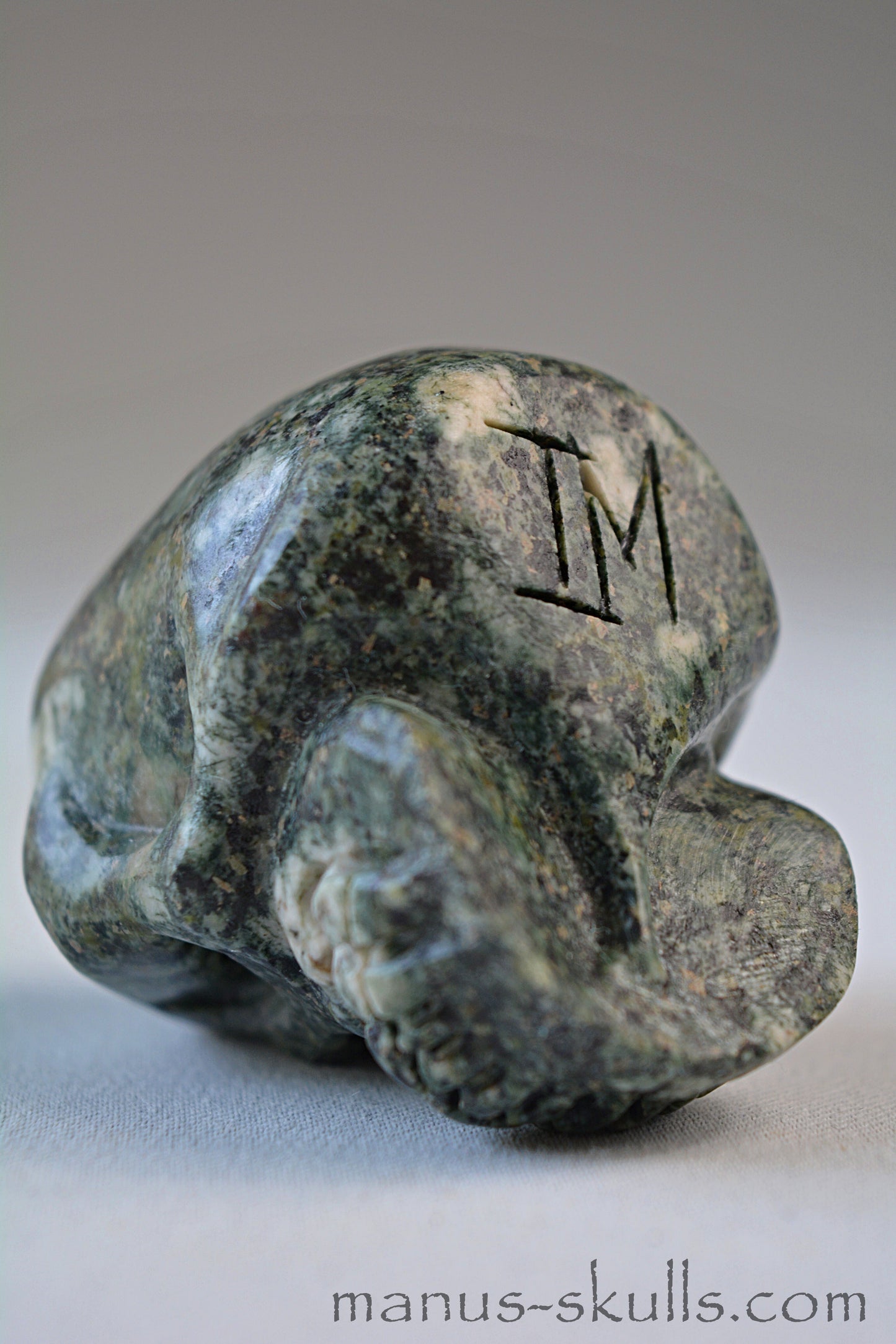 Preseli Bluestone Skull