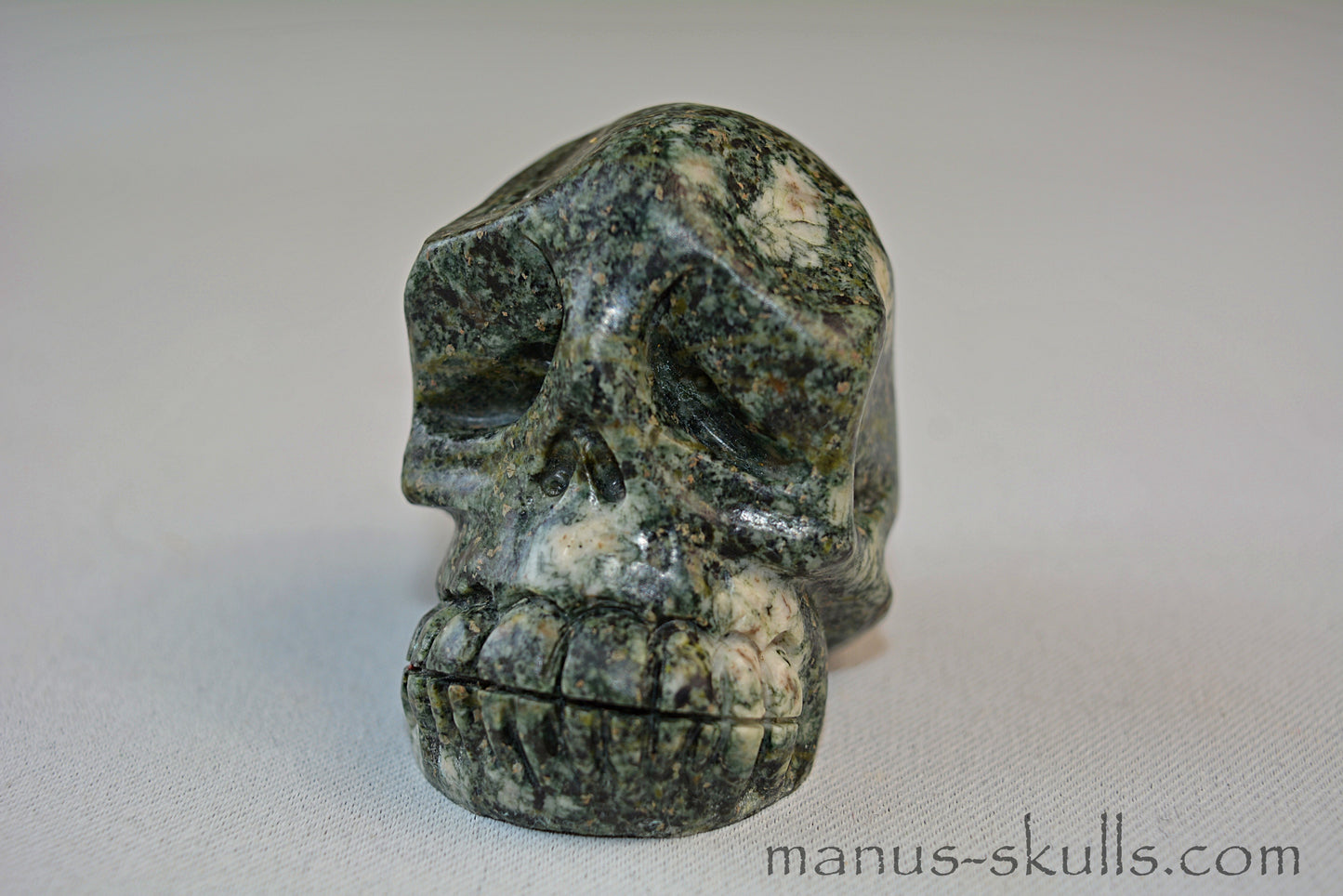 Preseli Bluestone Skull