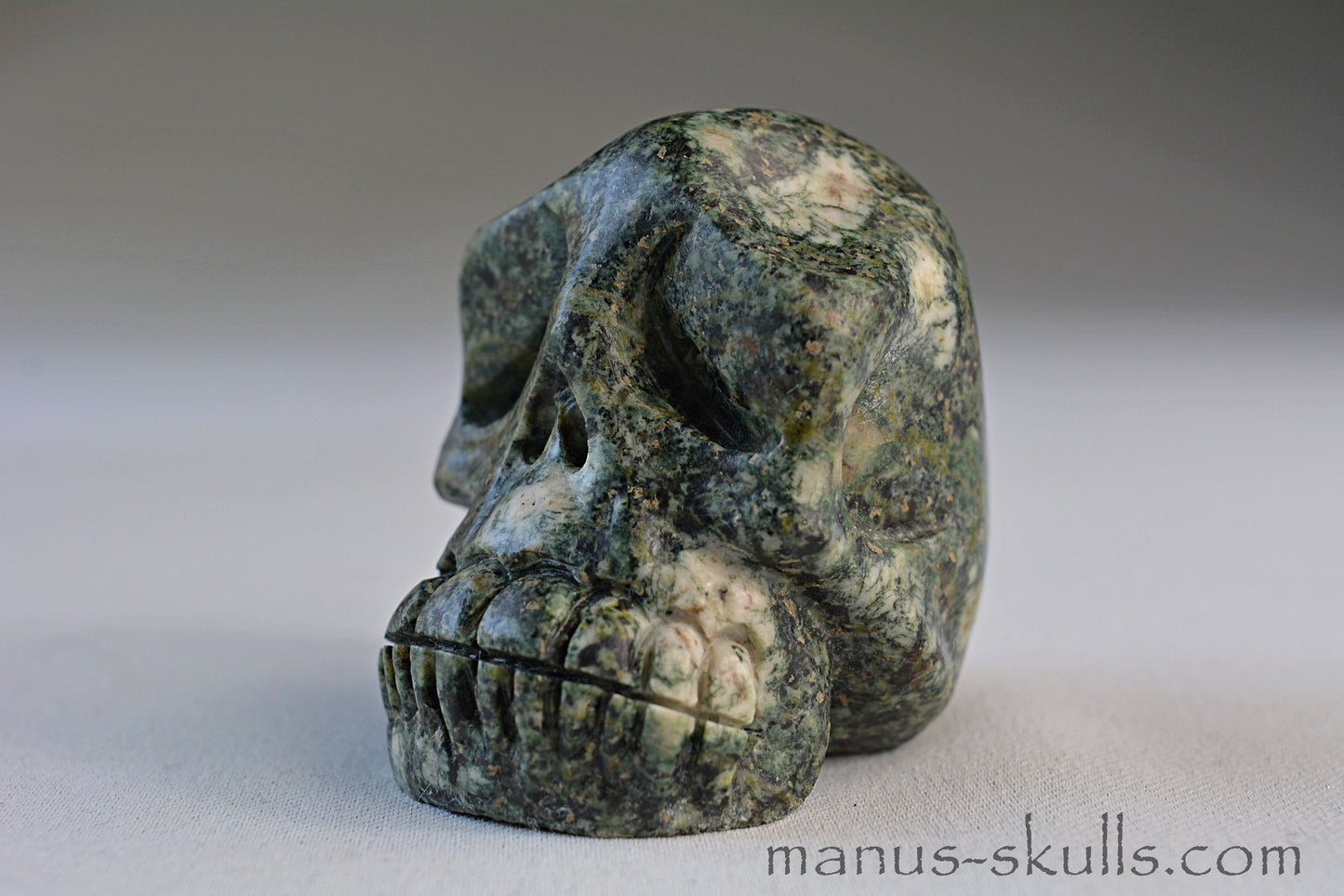 Preseli Bluestone Skull