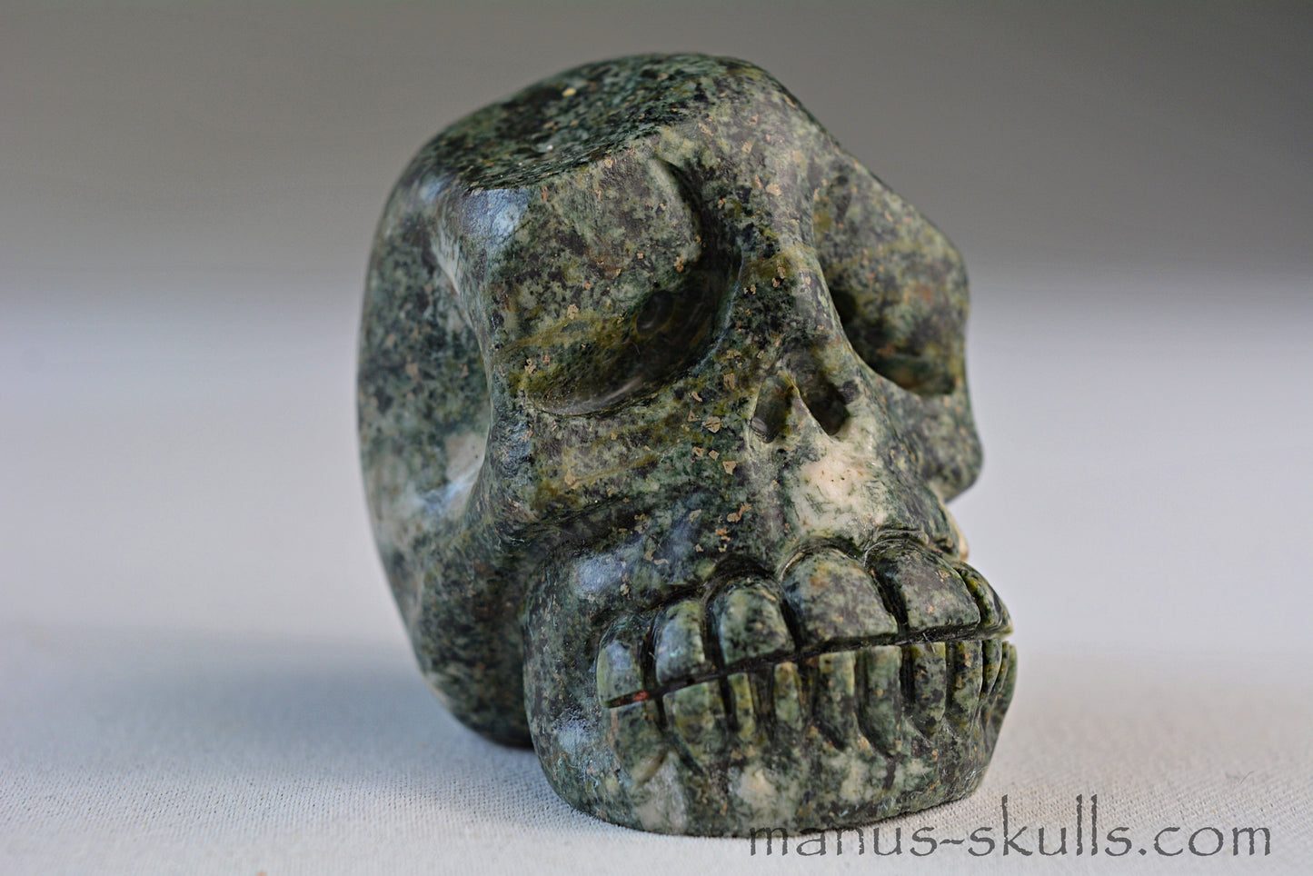Preseli Bluestone Skull