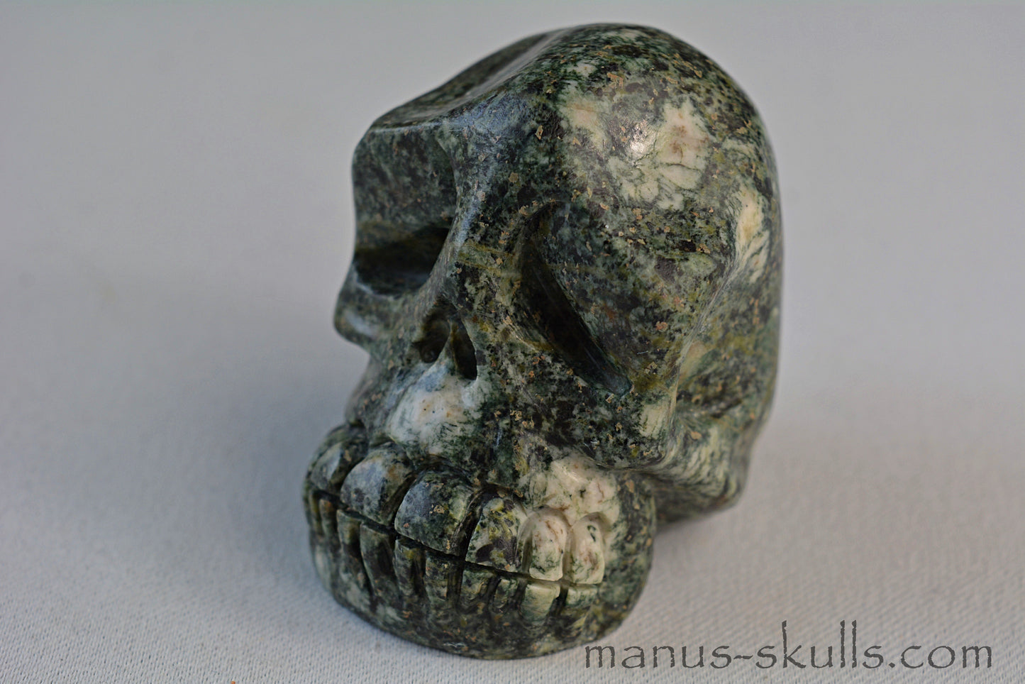Preseli Bluestone Skull